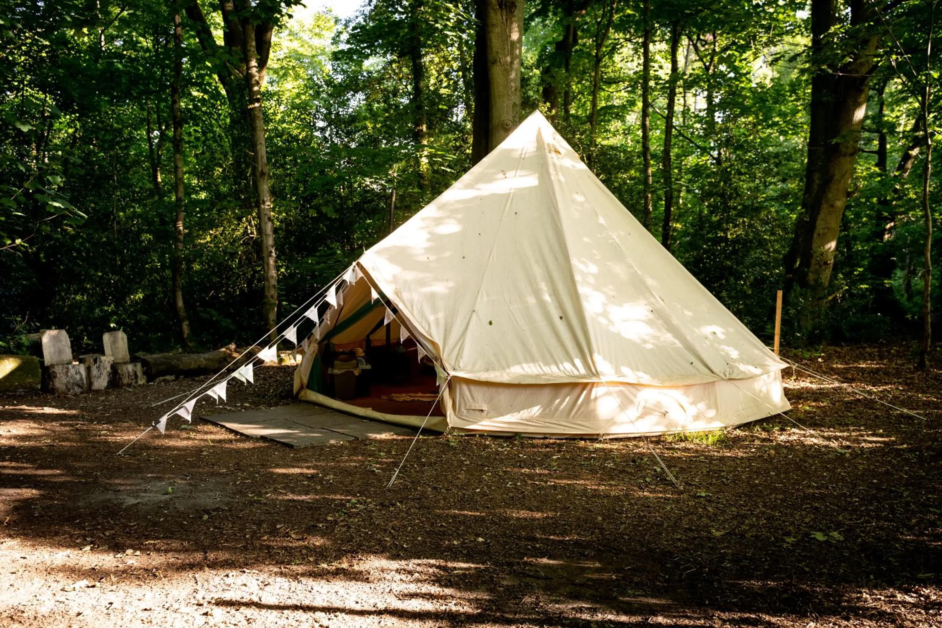 Hollington Park Glamping
