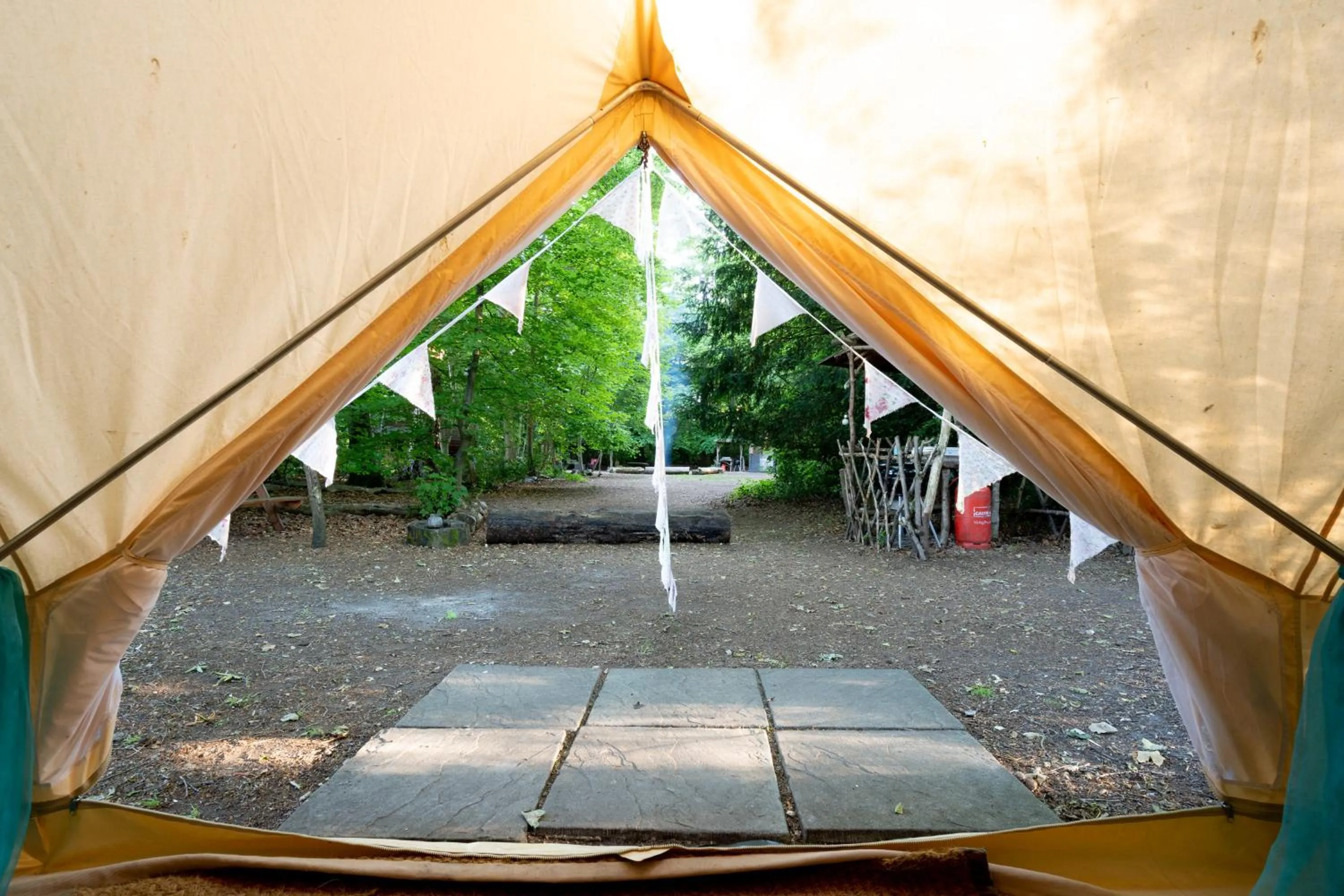 Hollington Park Glamping