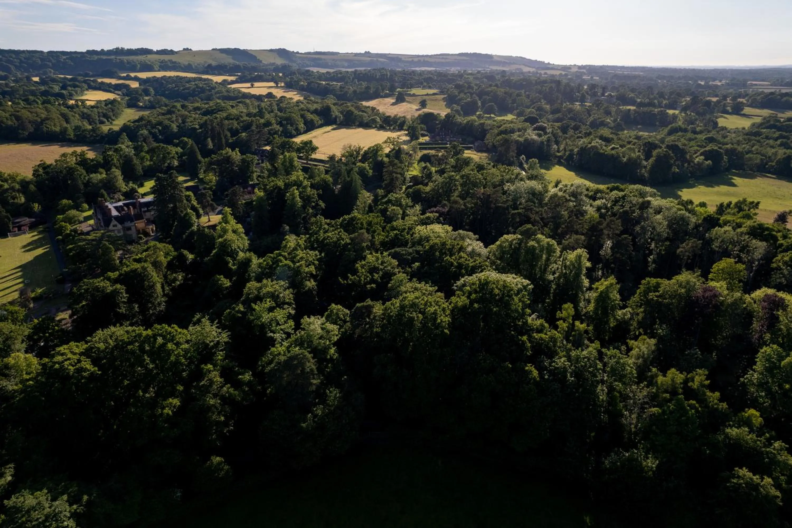 Natural landscape in Hollington Park Glamping