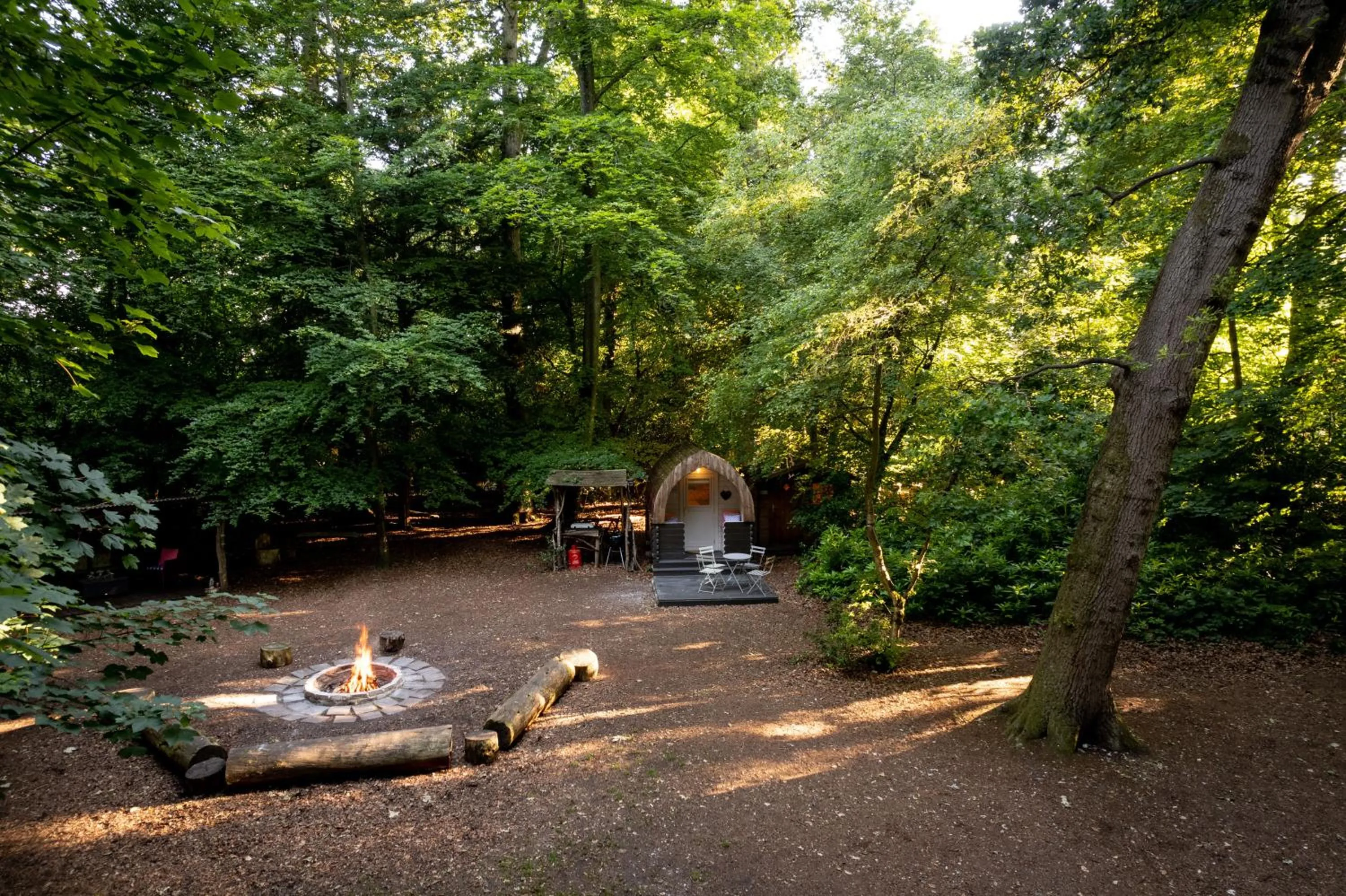 Hollington Park Glamping