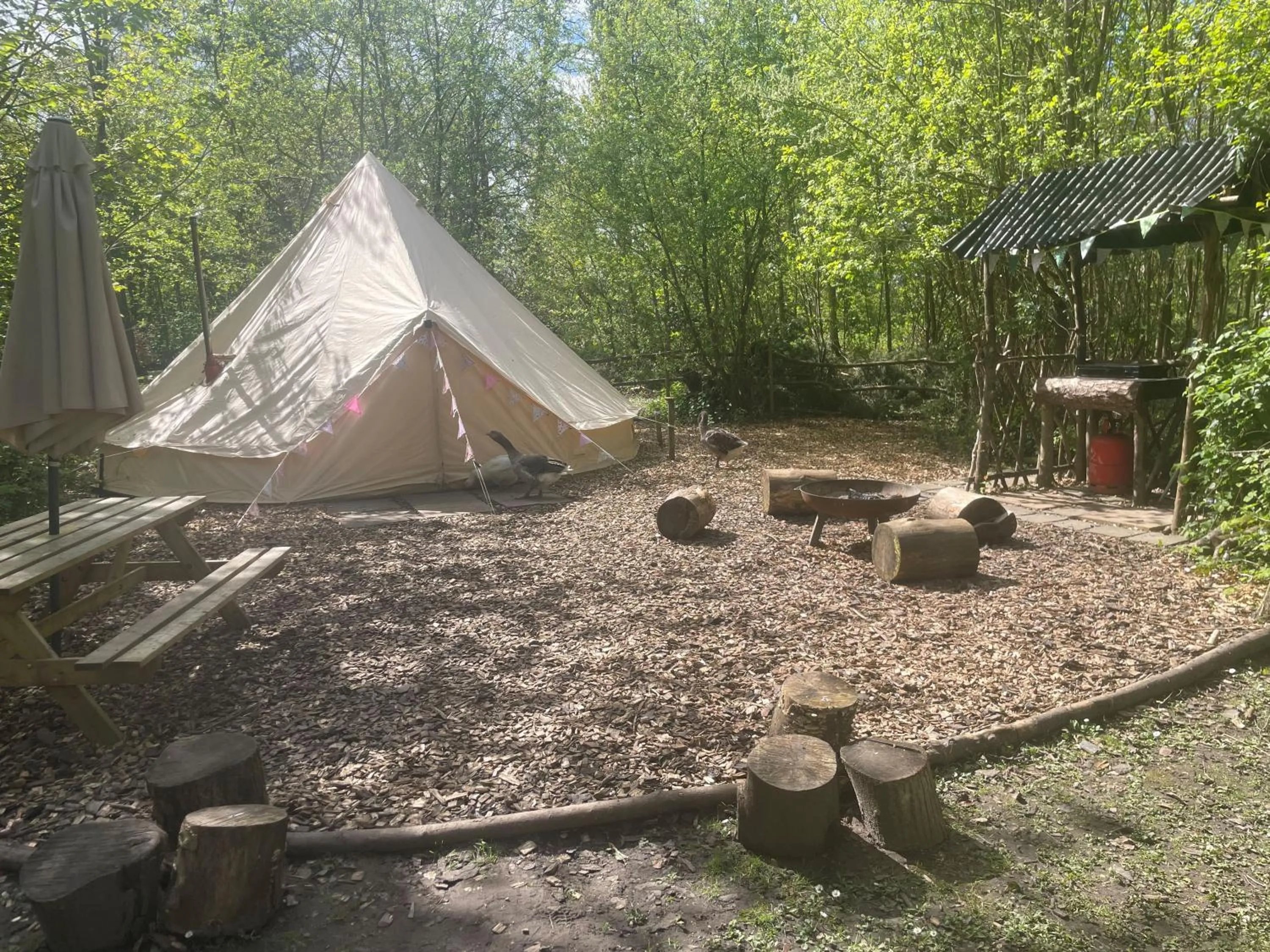 Hollington Park Glamping