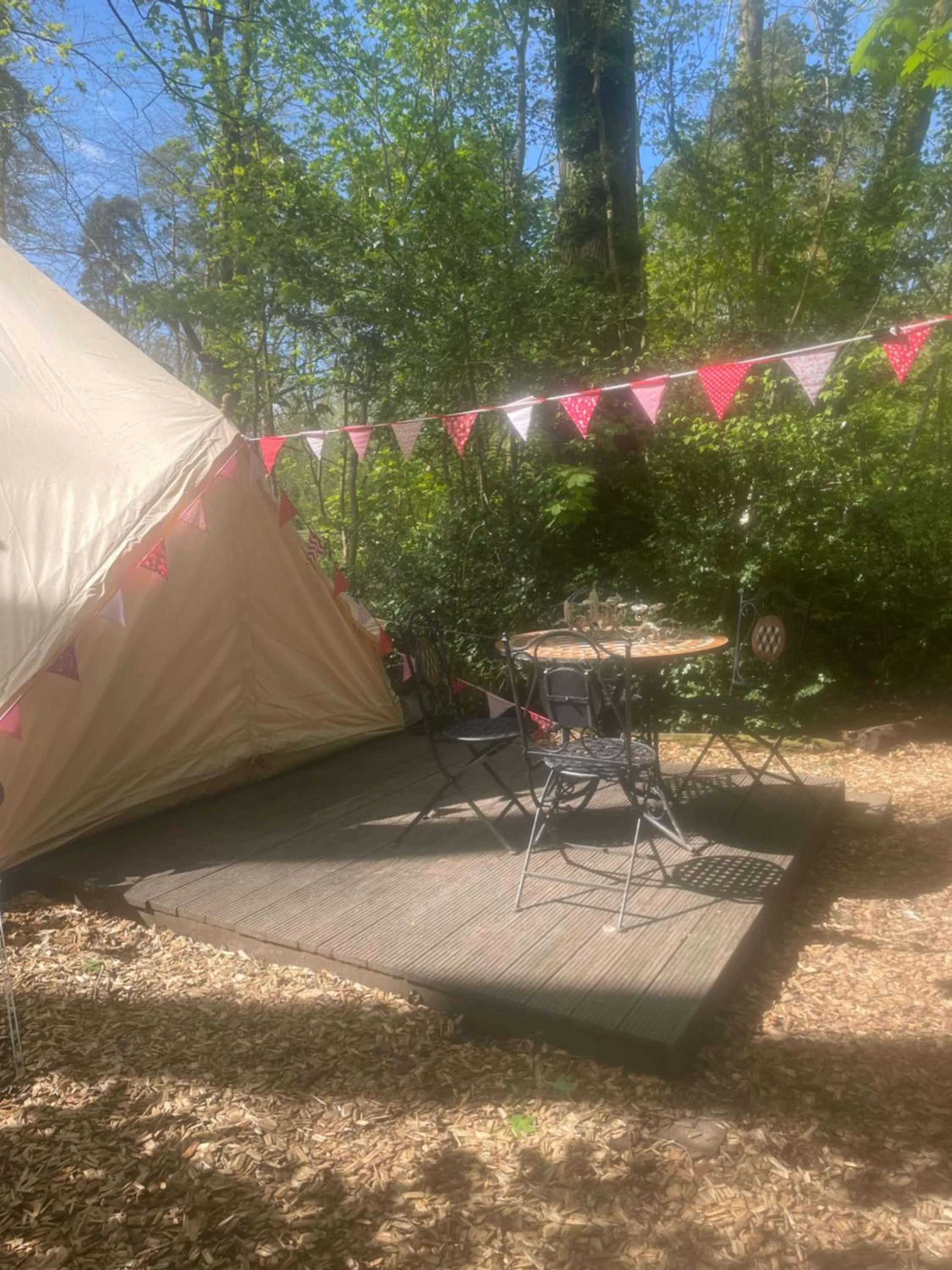 Hollington Park Glamping