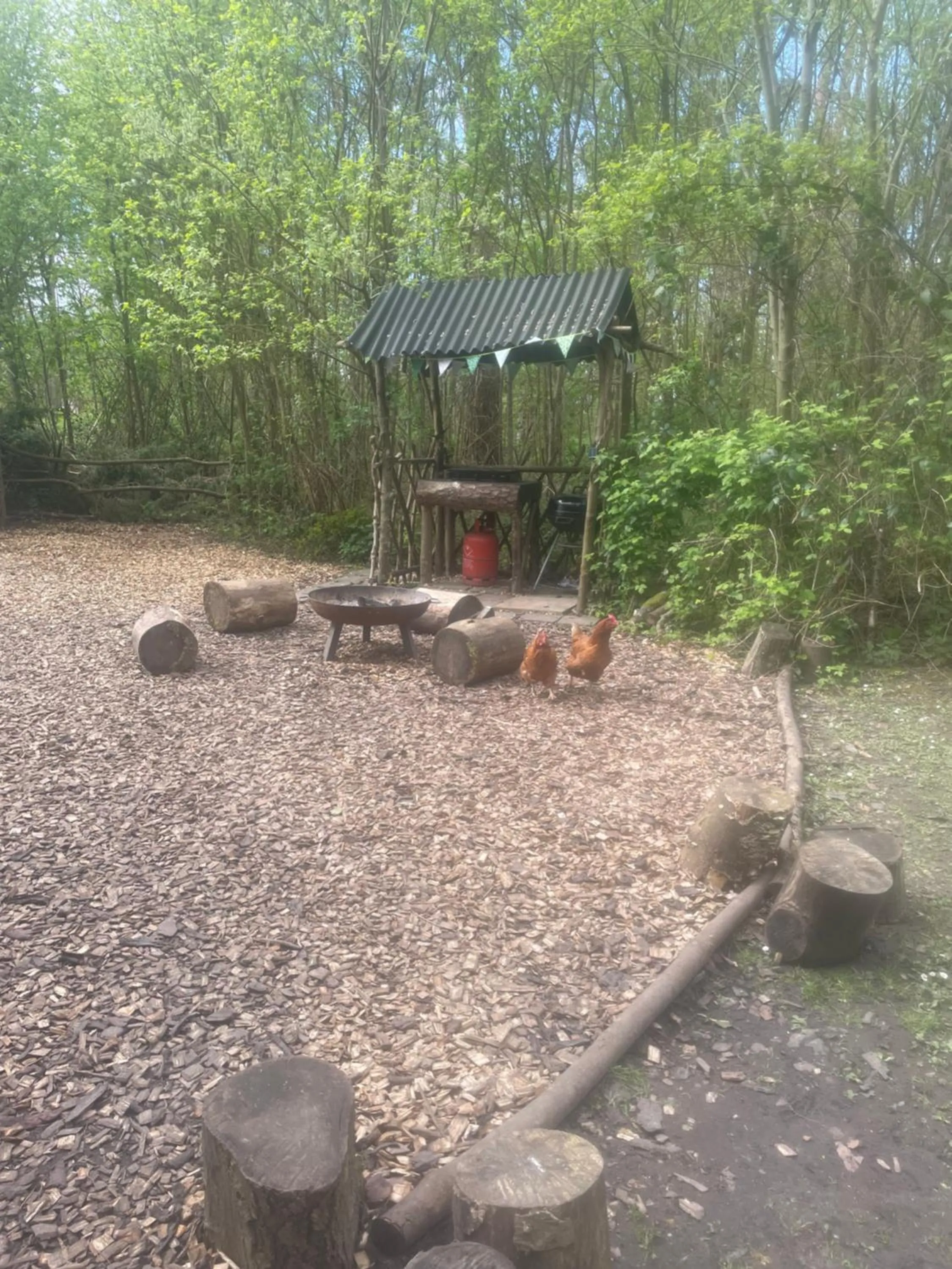 Hollington Park Glamping