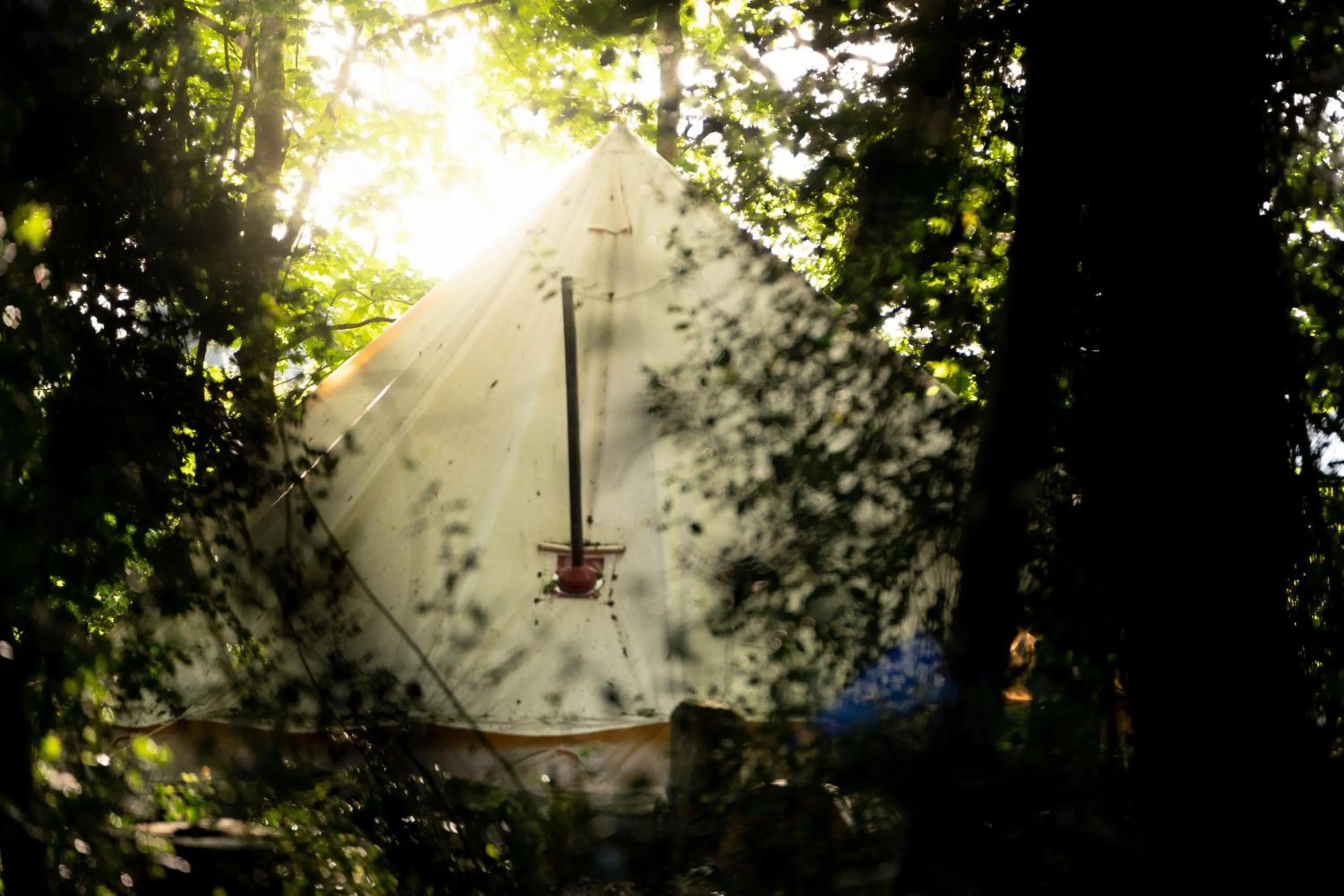 Hollington Park Glamping