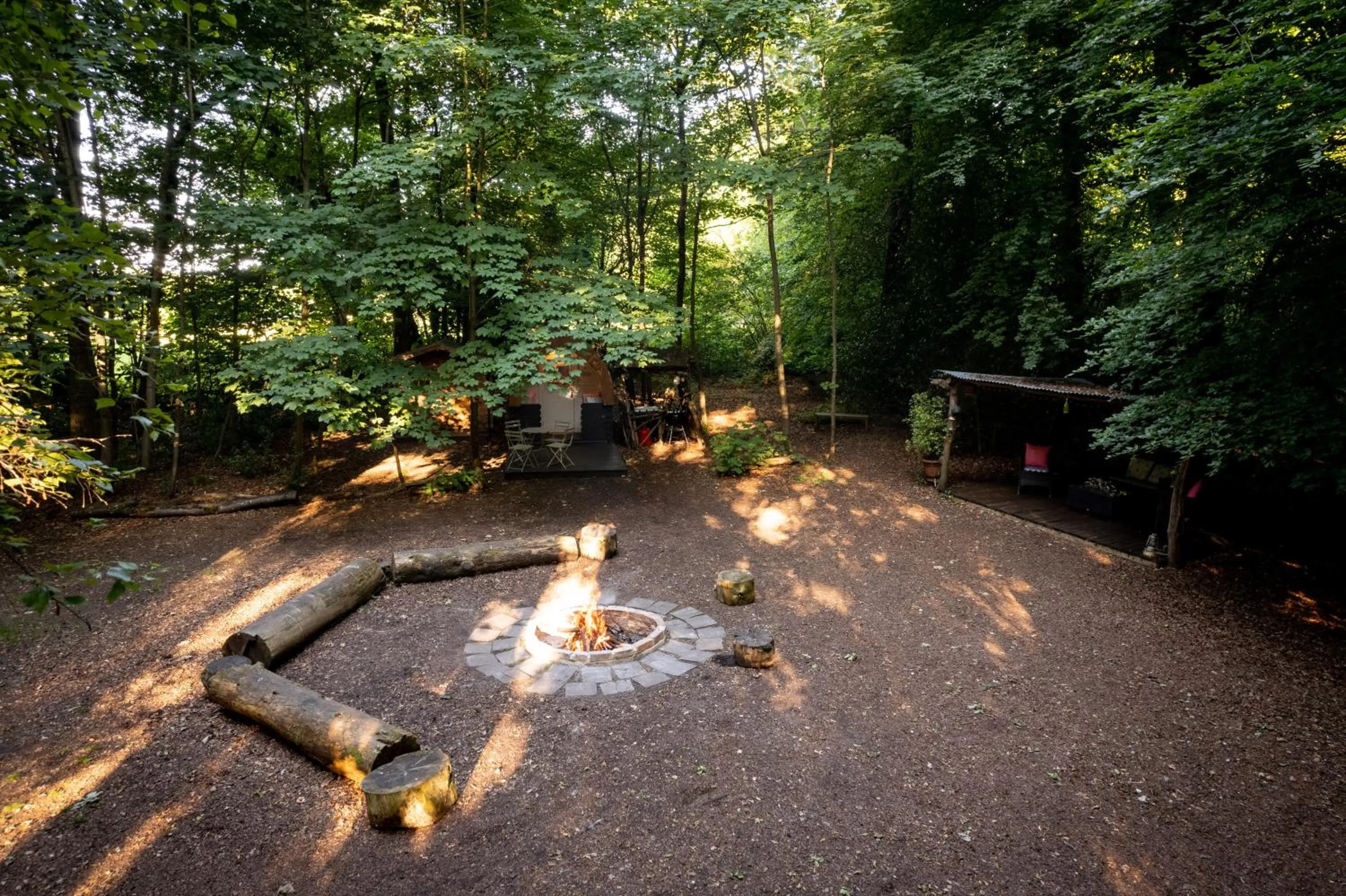 Hollington Park Glamping