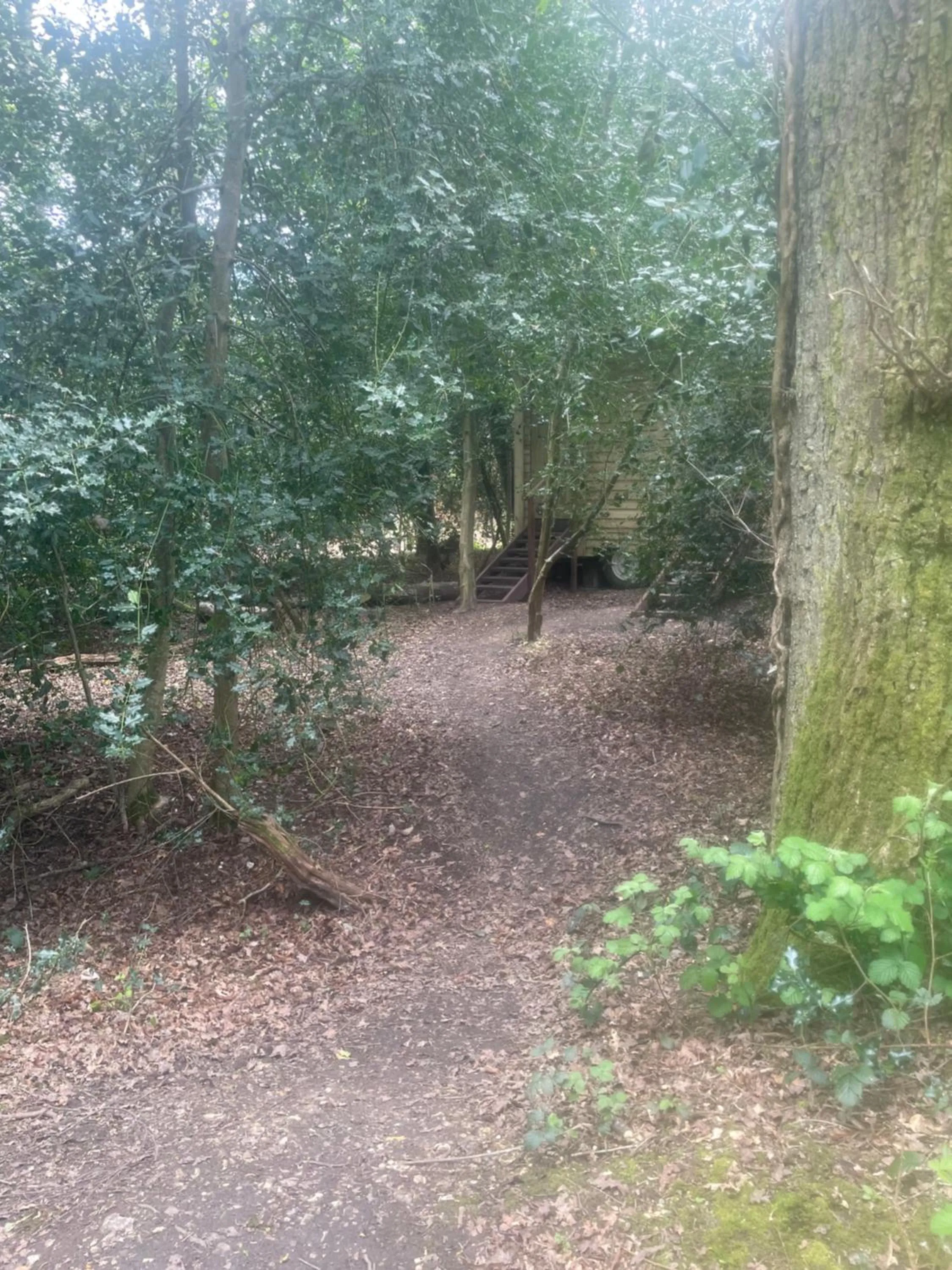 Hollington Park Glamping