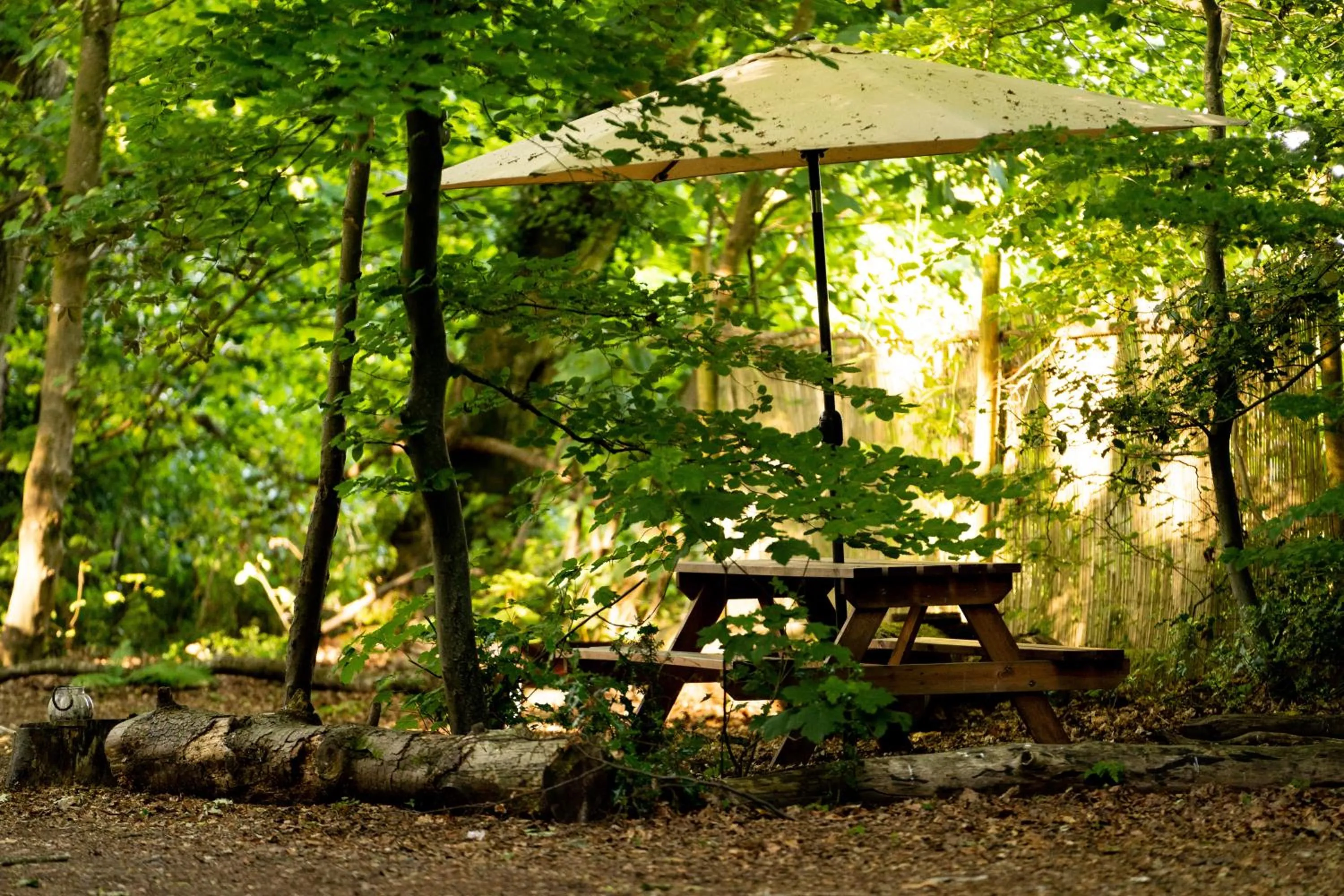 Hollington Park Glamping