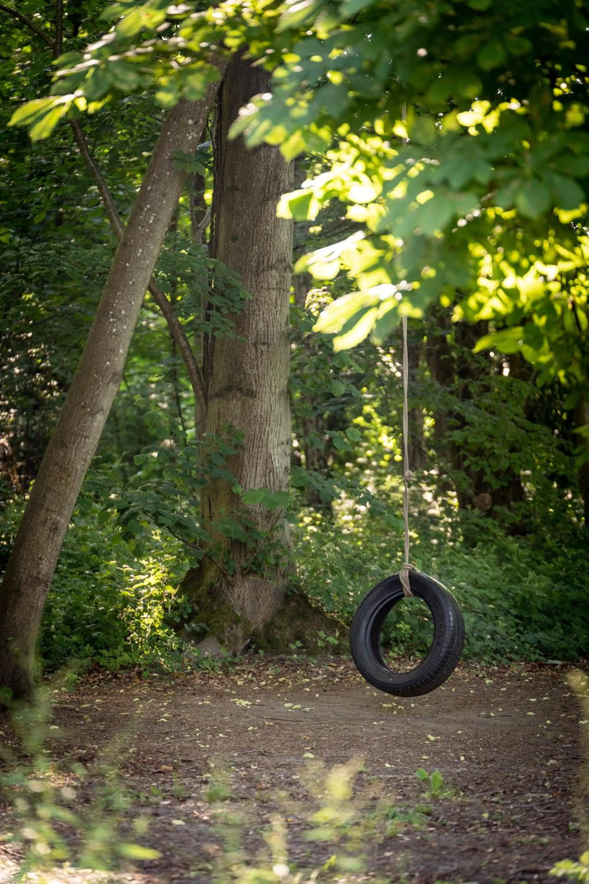 Hollington Park Glamping