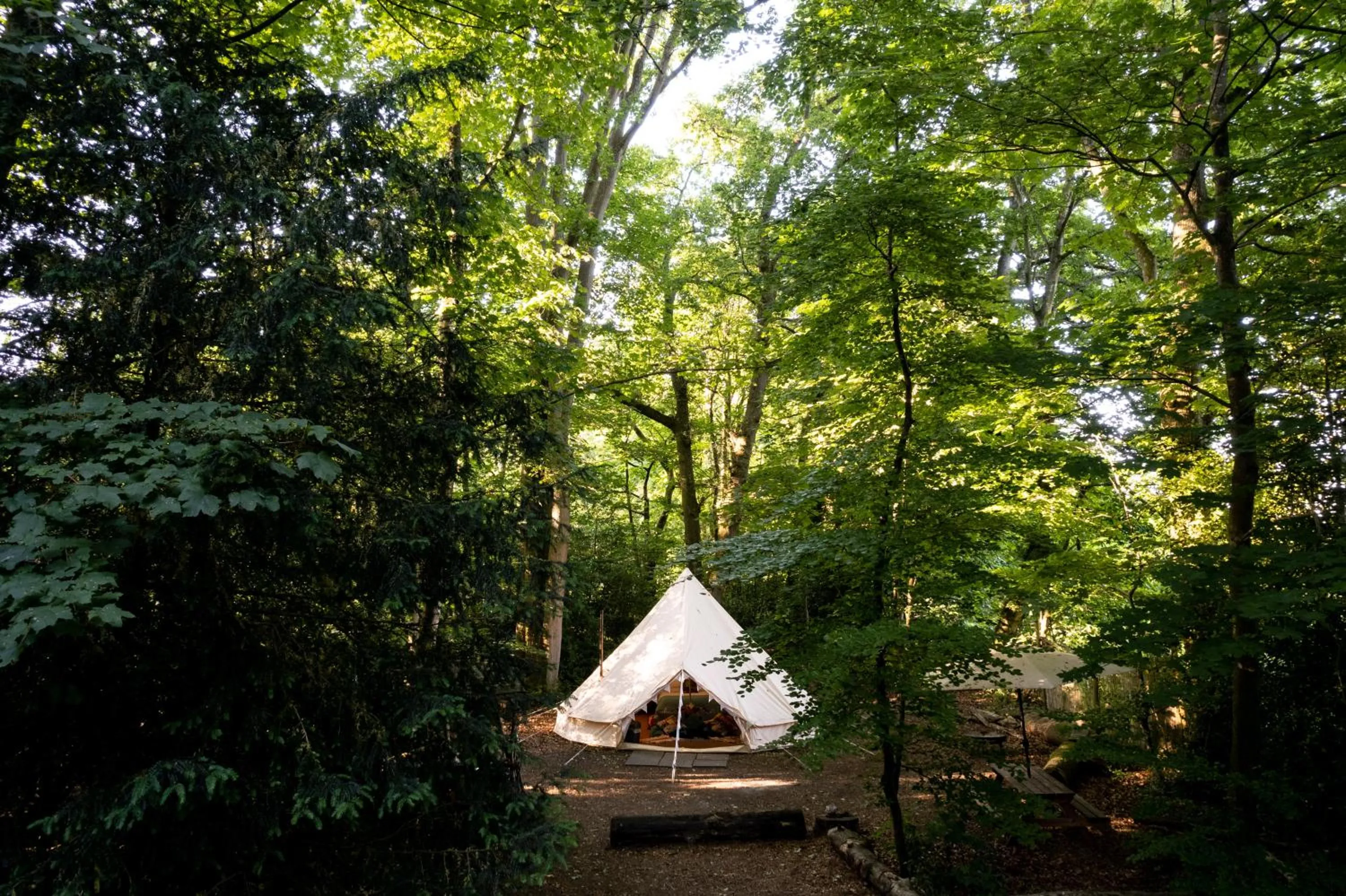 Hollington Park Glamping