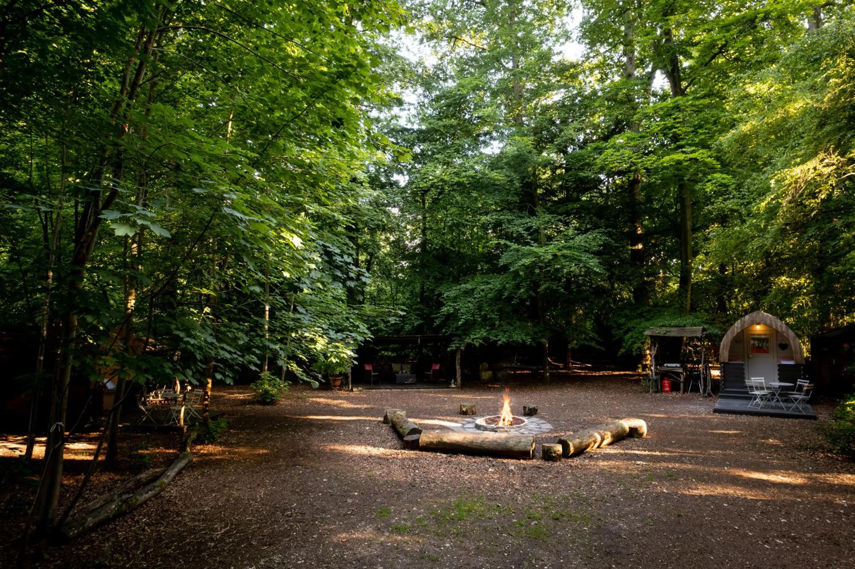 Hollington Park Glamping