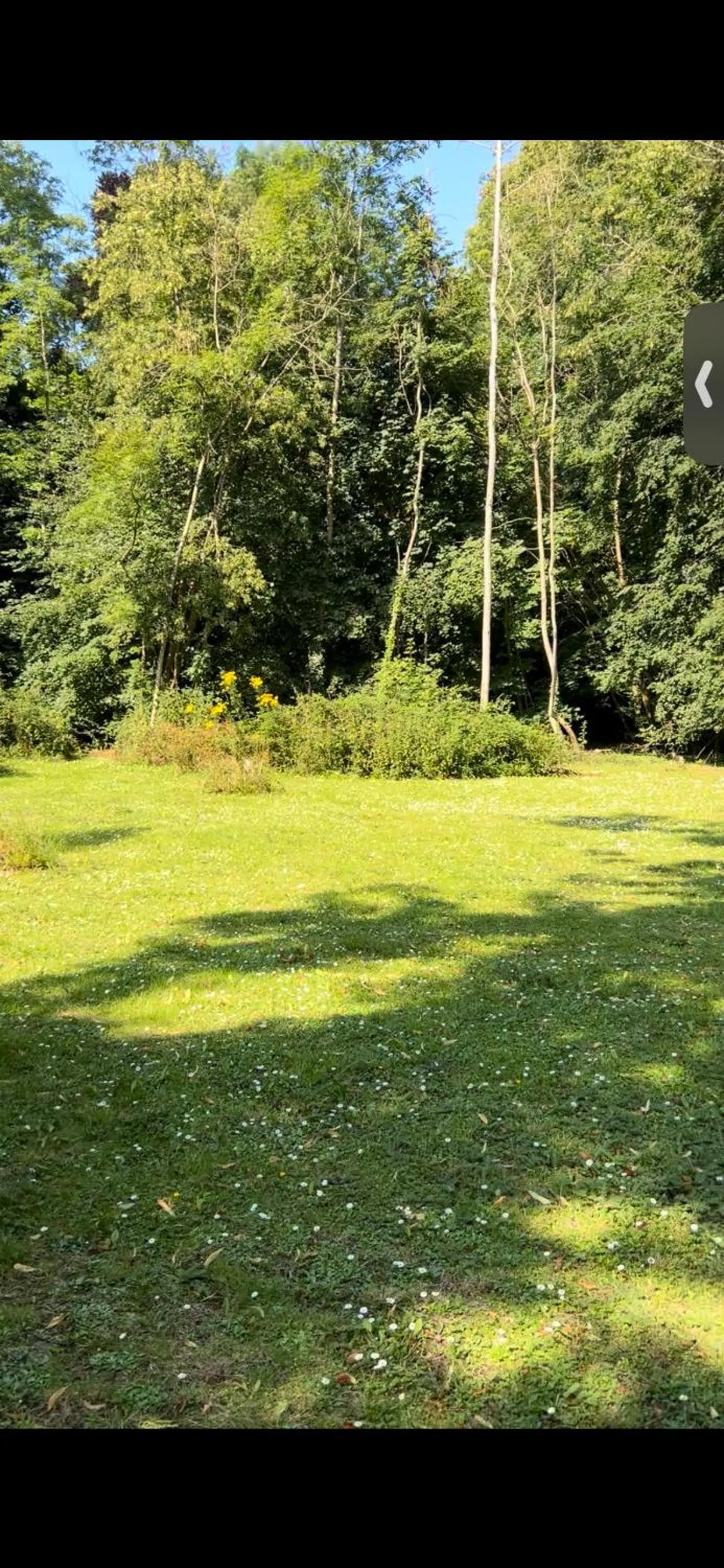 Hollington Park Glamping