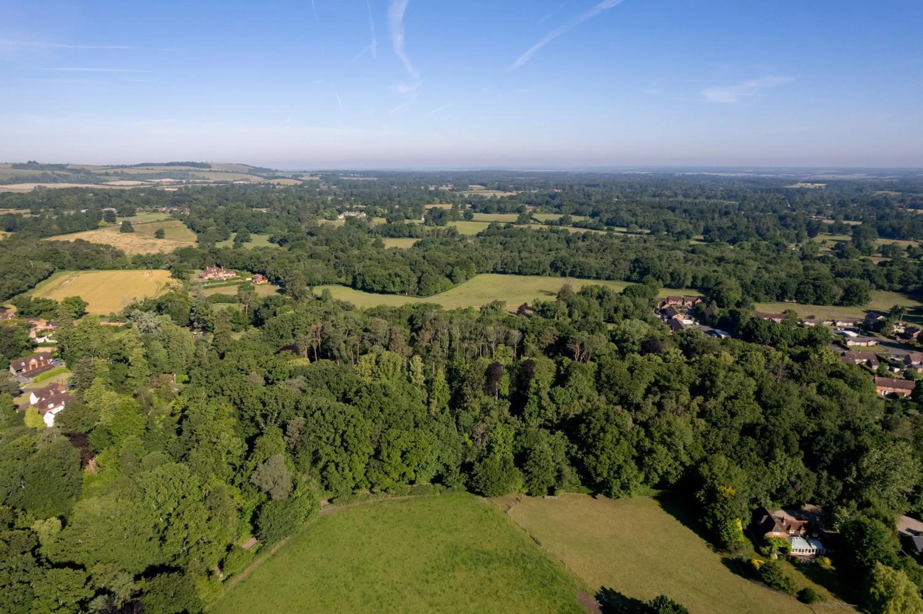 Natural landscape in Hollington Park Glamping