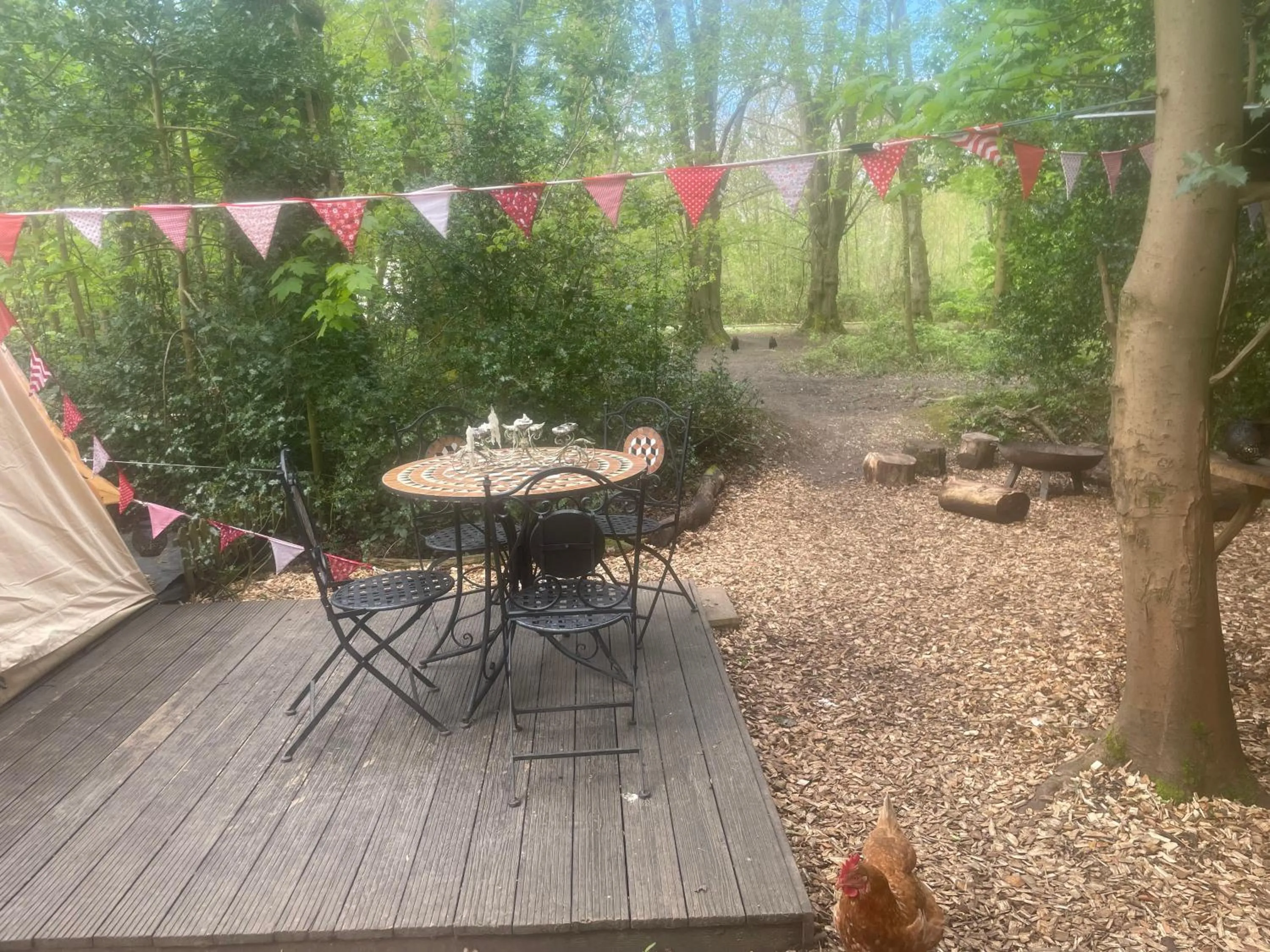 Hollington Park Glamping