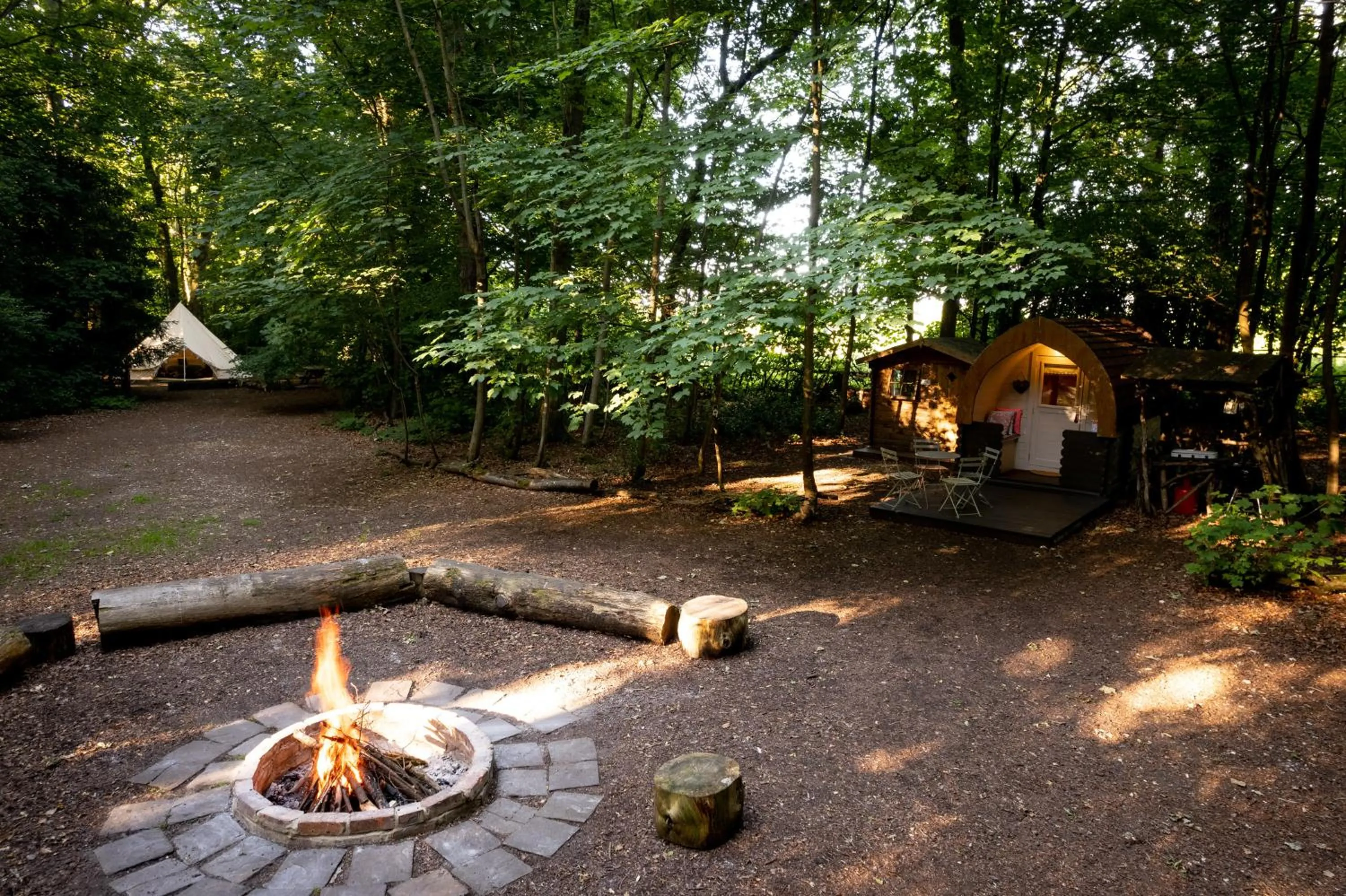 Hollington Park Glamping