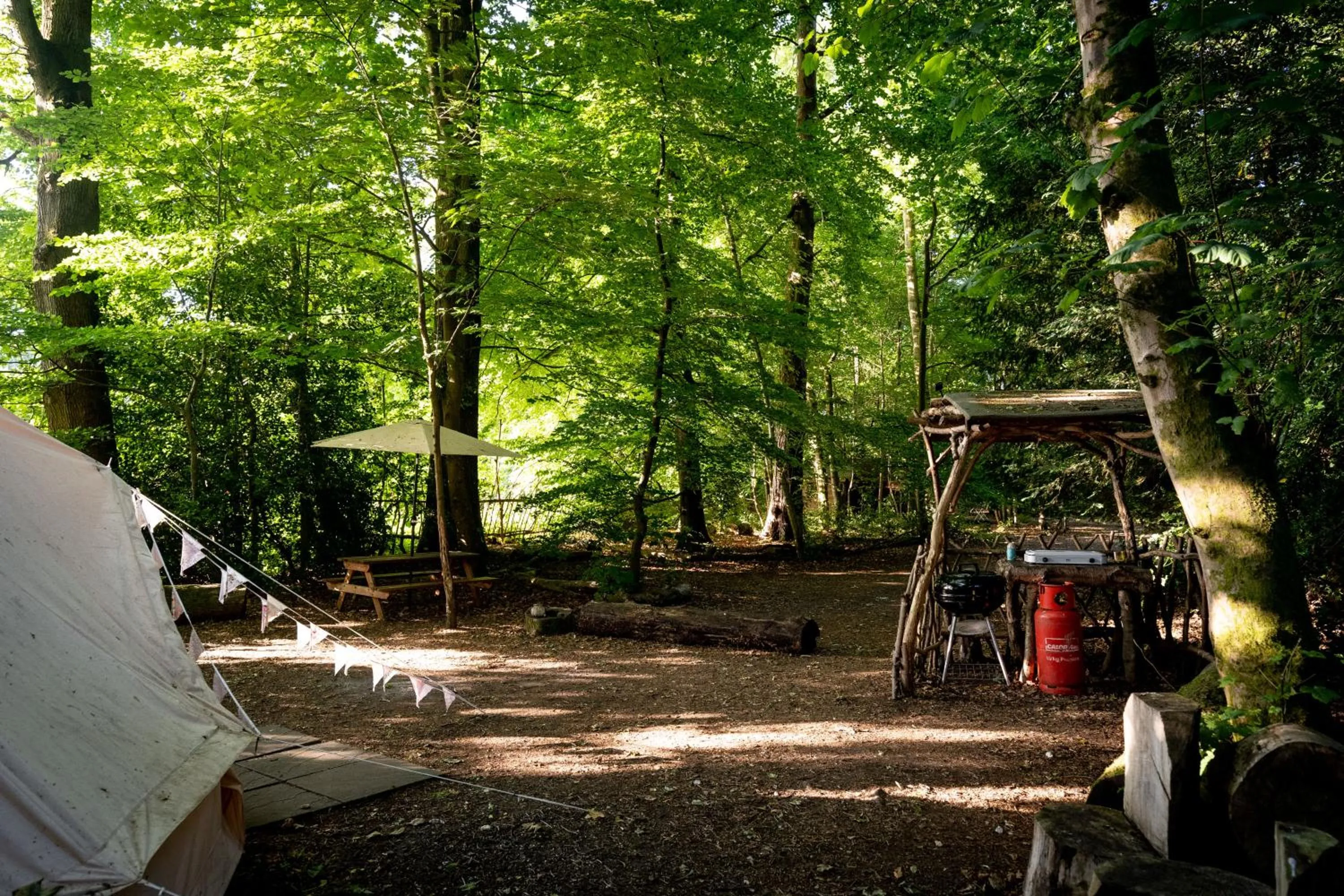 Hollington Park Glamping