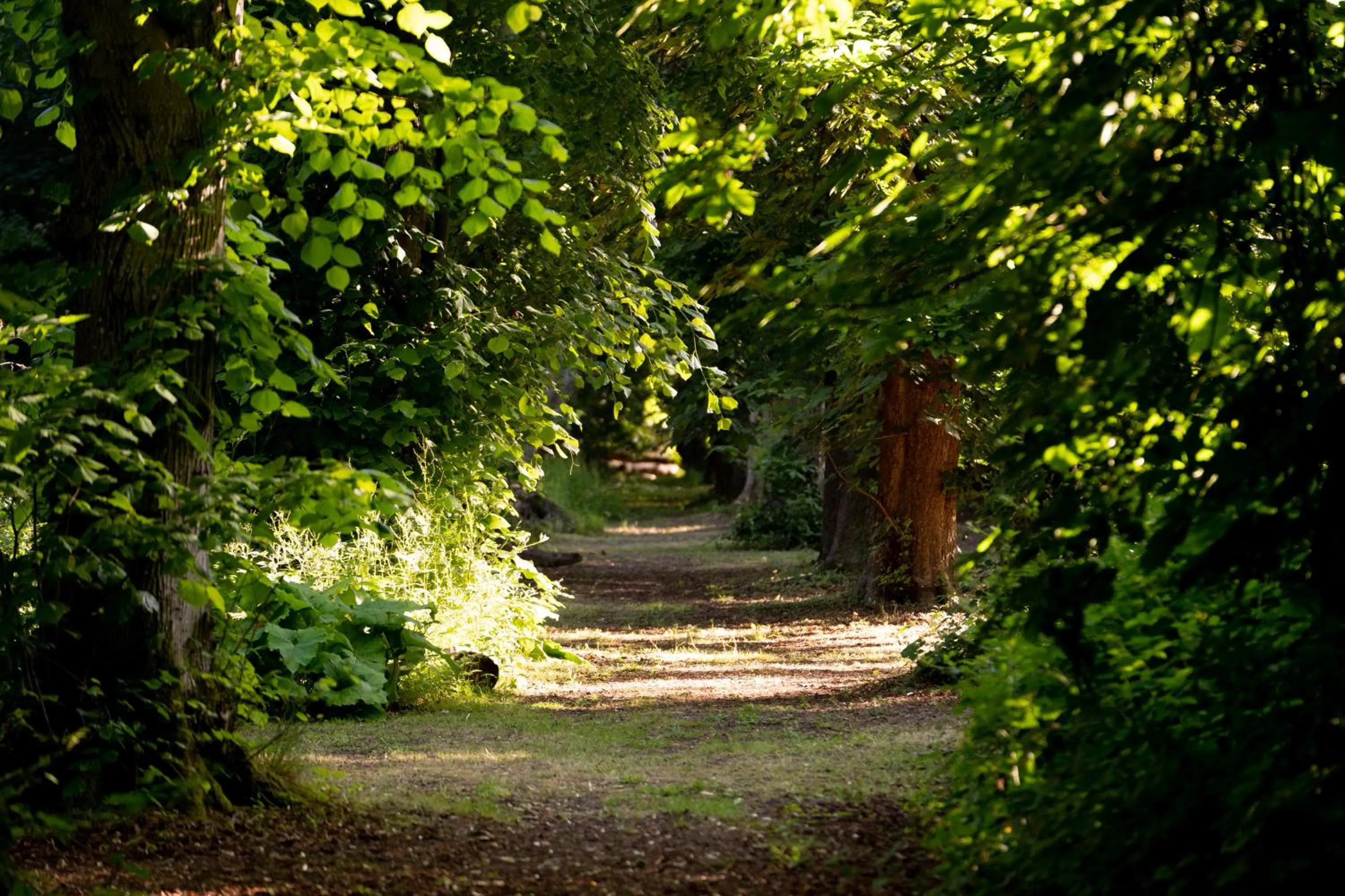 Hollington Park Glamping