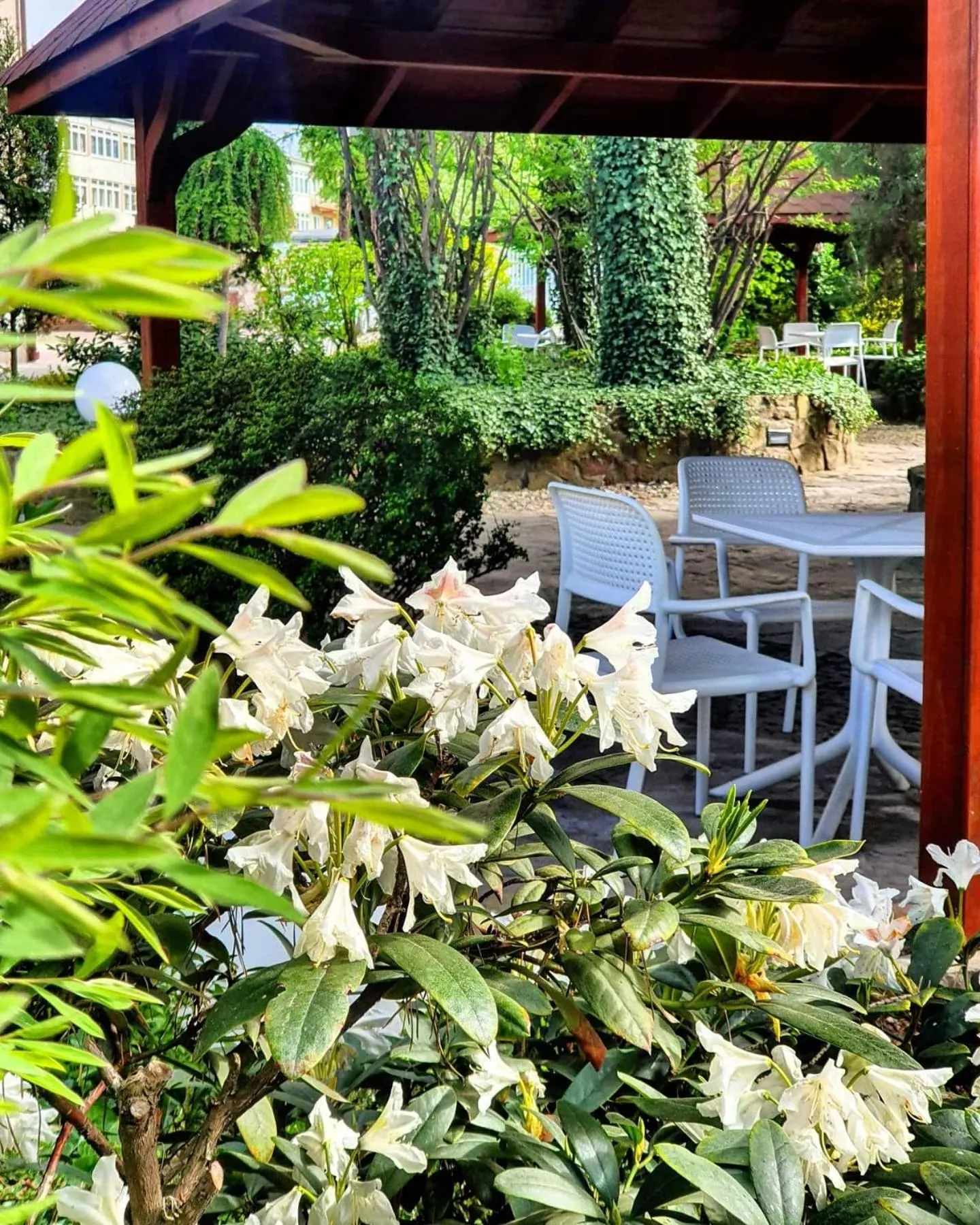 Garden in Hotel Europa Starachowice