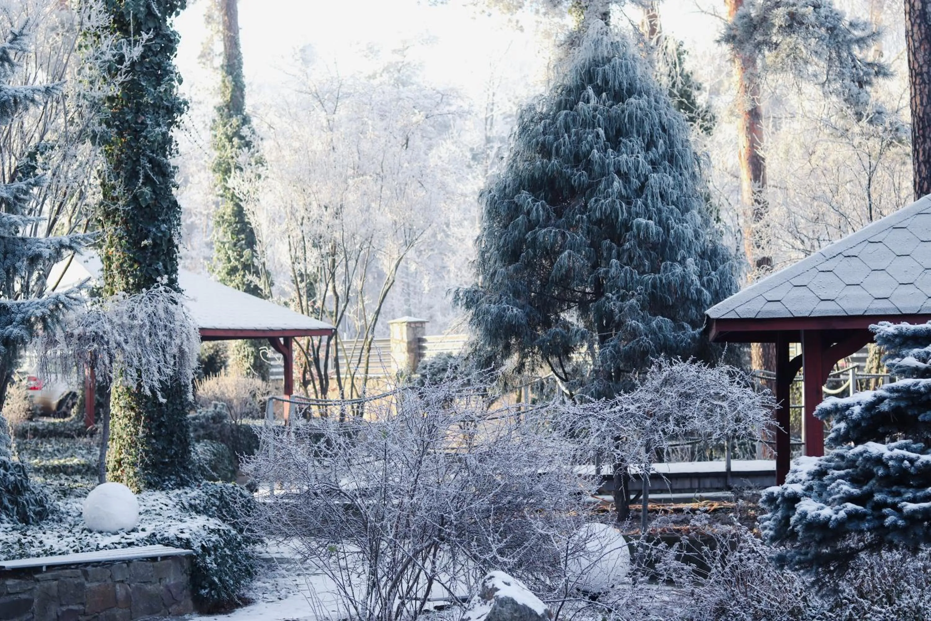 Winter in Hotel Europa Starachowice