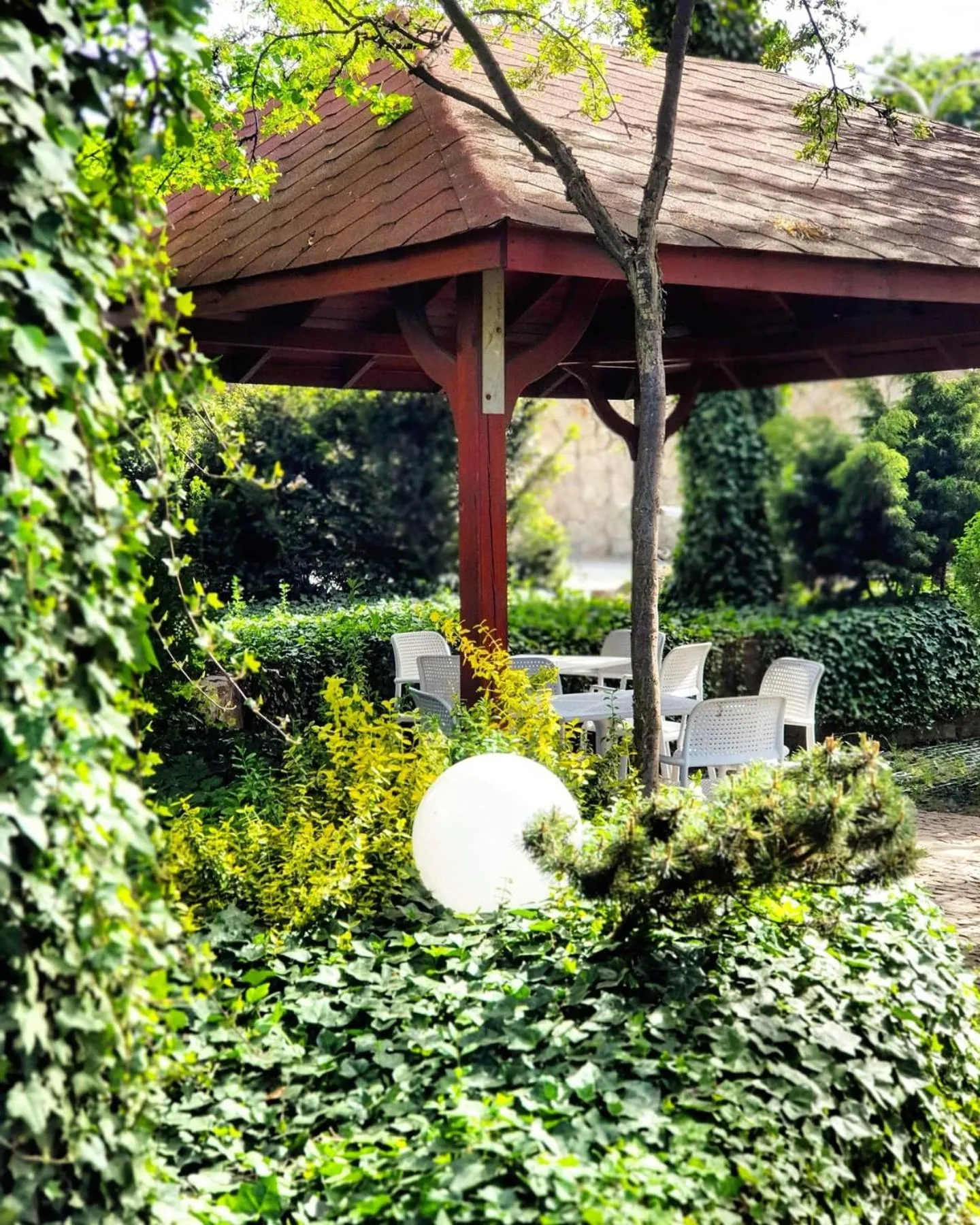 Garden in Hotel Europa Starachowice