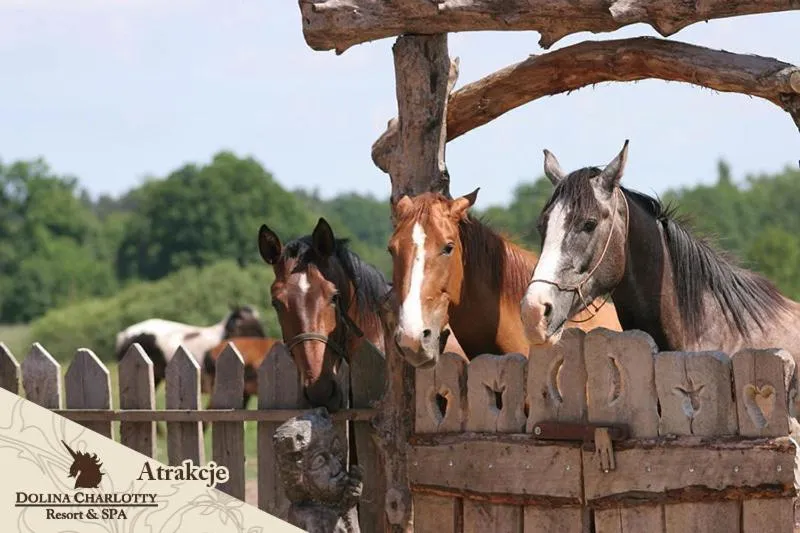Horse-riding in Dolina Charlotty Resort&Spa