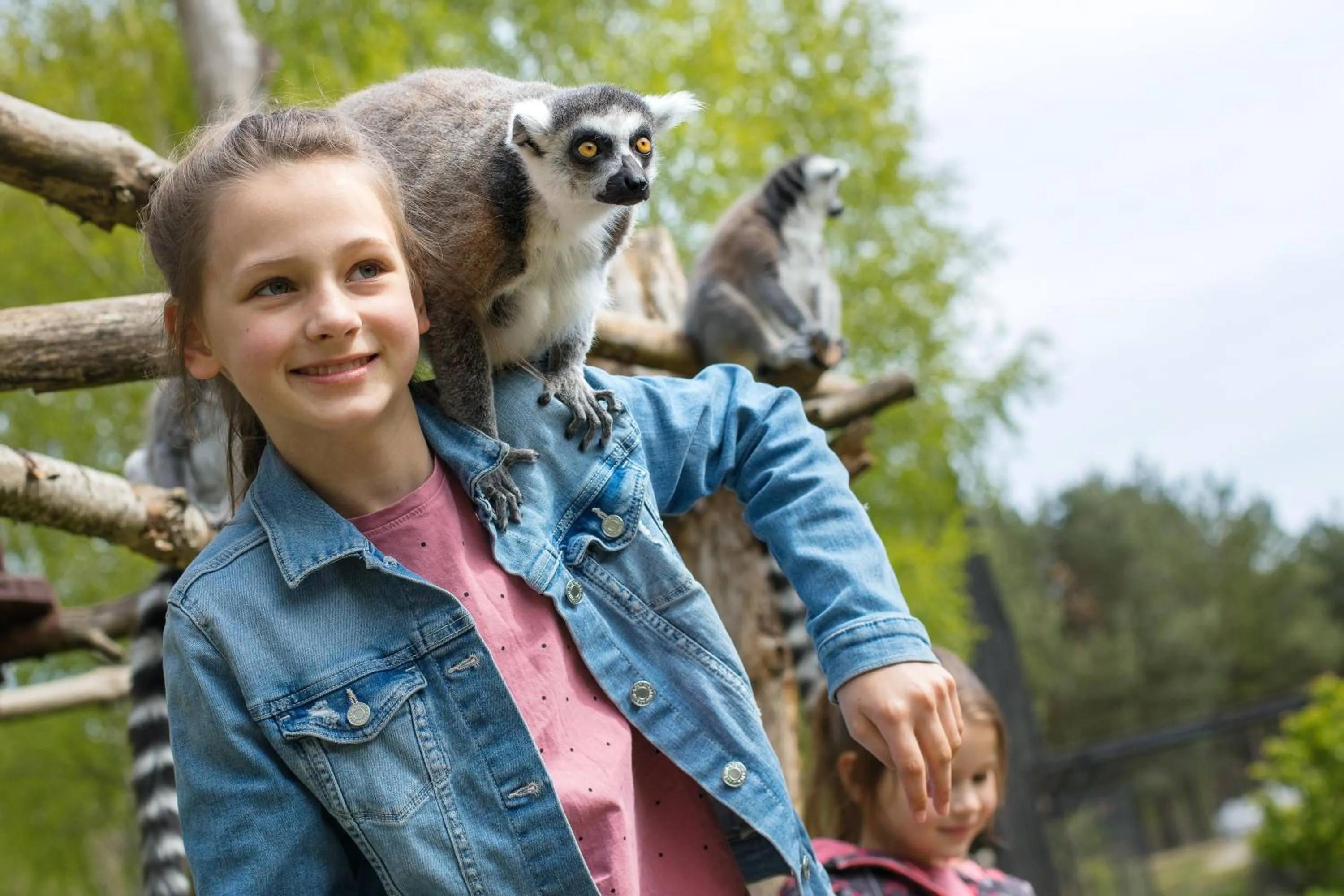 Dolina Charlotty Resort&Spa