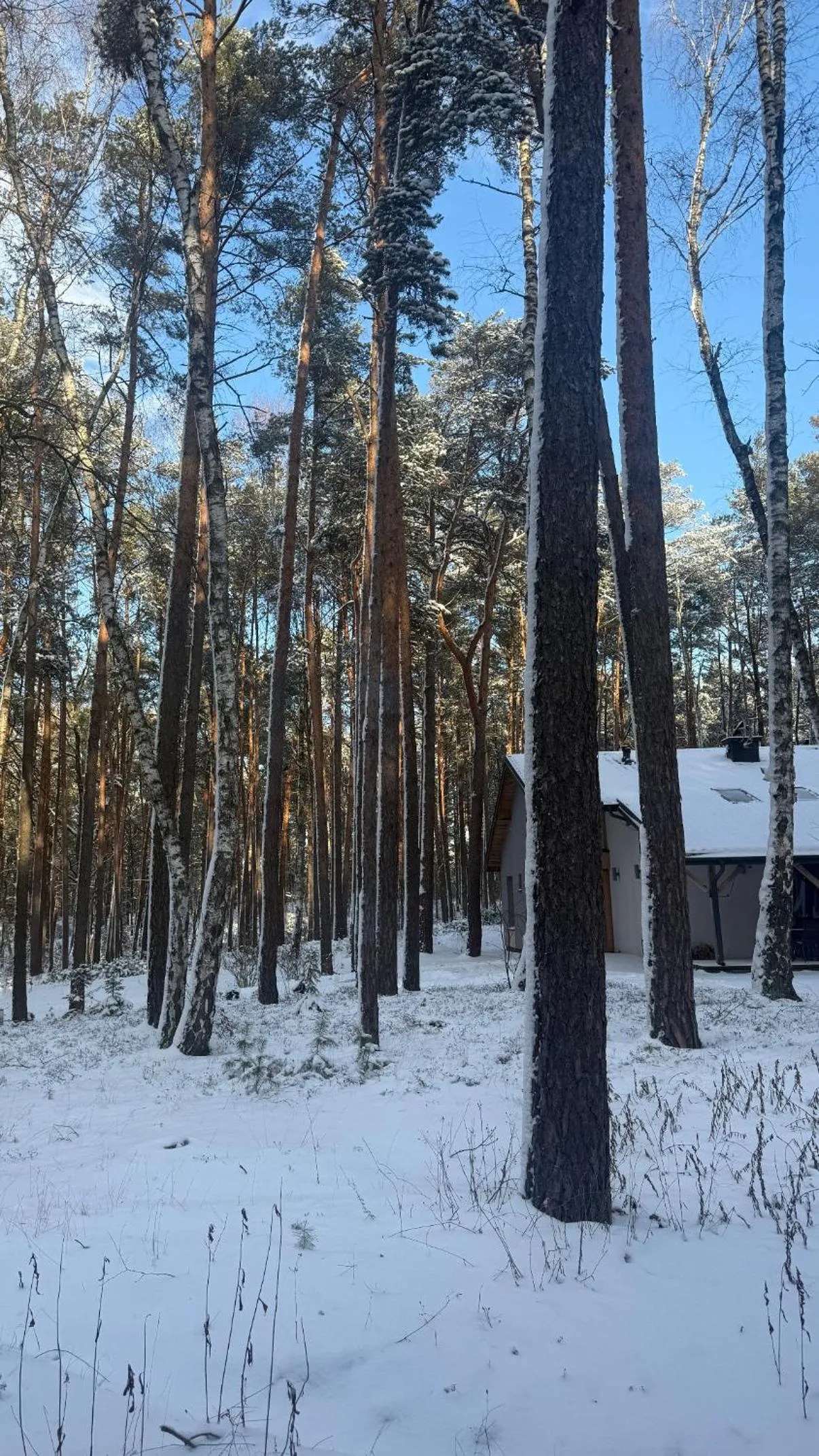 Day in Park Rekreacyjno-Biznesowy Las Woda