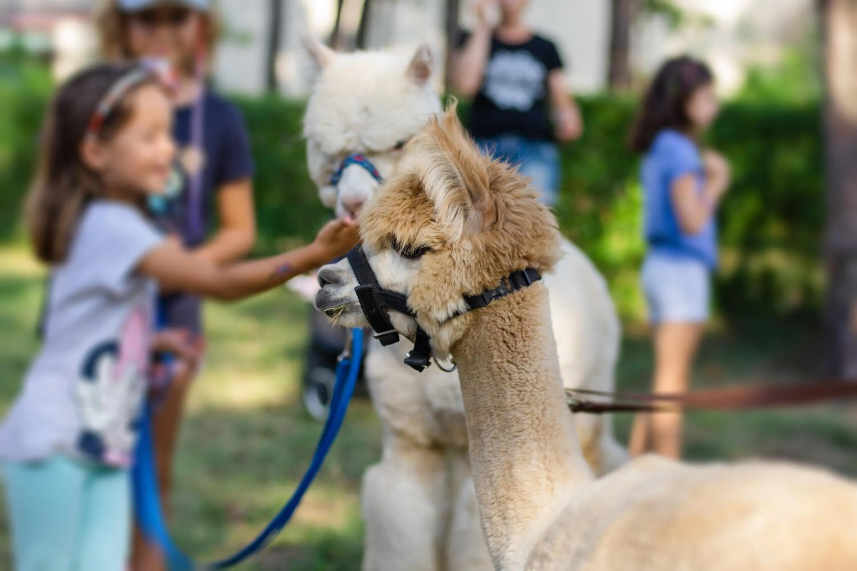 Kids's club in Park Rekreacyjno-Biznesowy Las Woda