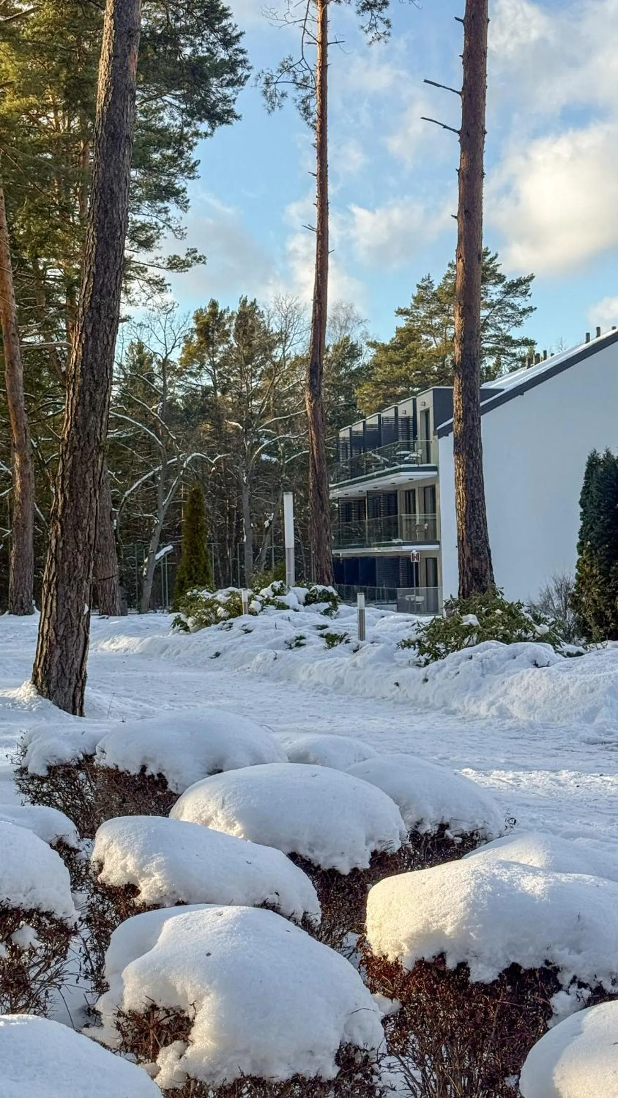 Property building in Park Rekreacyjno-Biznesowy Las Woda