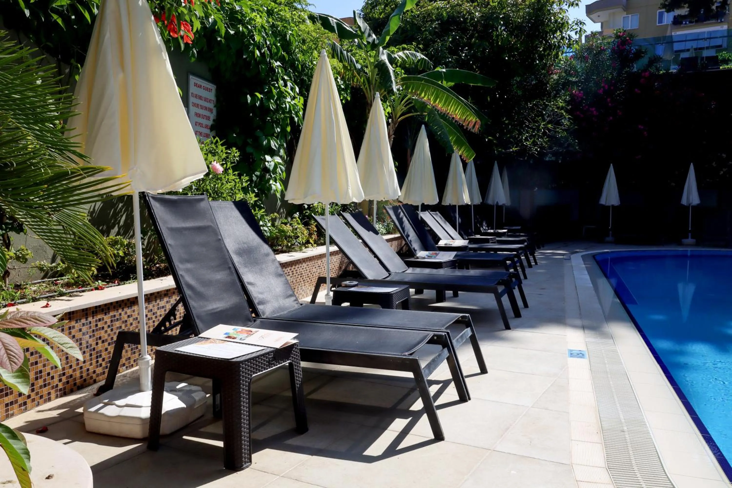 sunbed in May Flower Apart Hotel