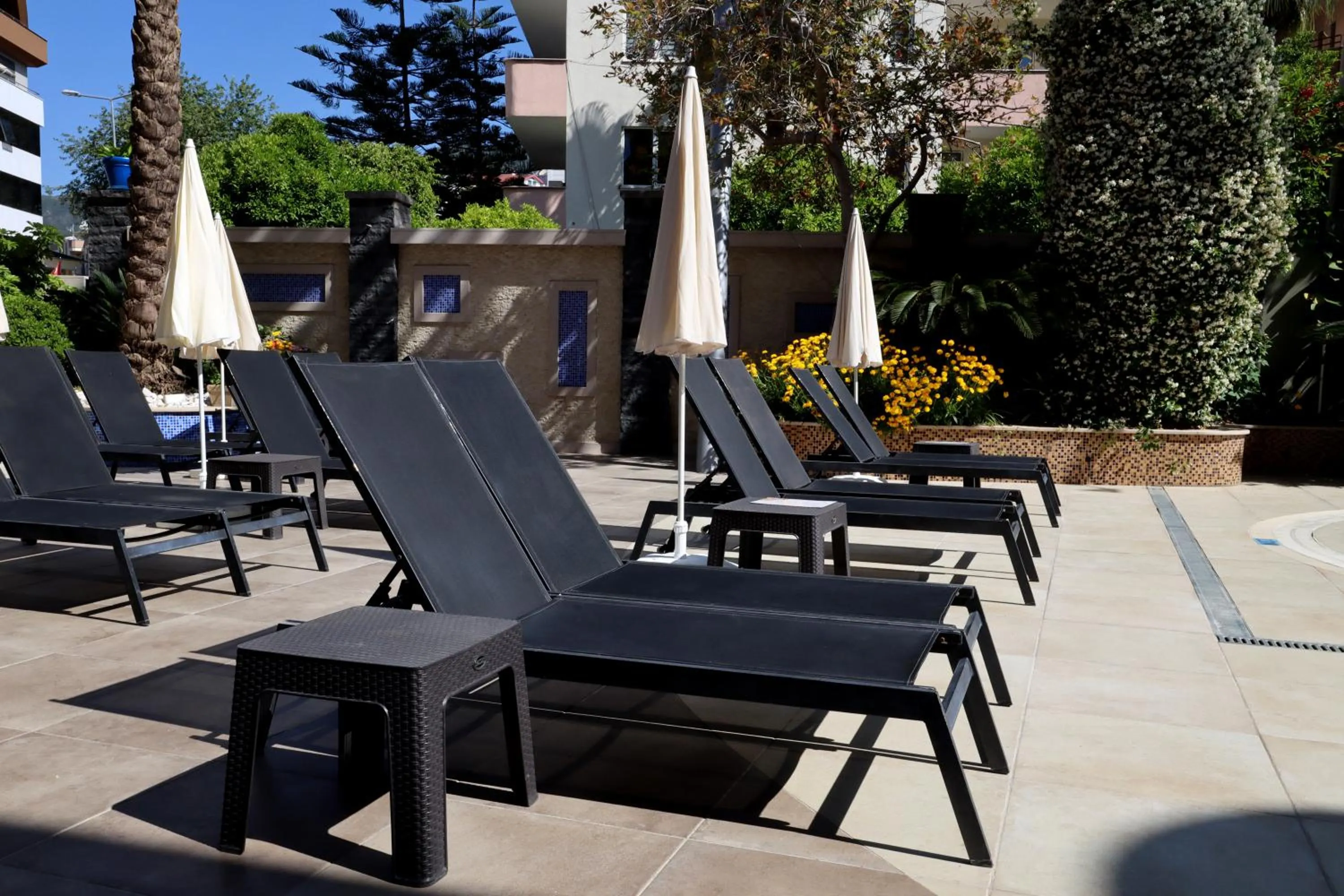 sunbed in May Flower Apart Hotel