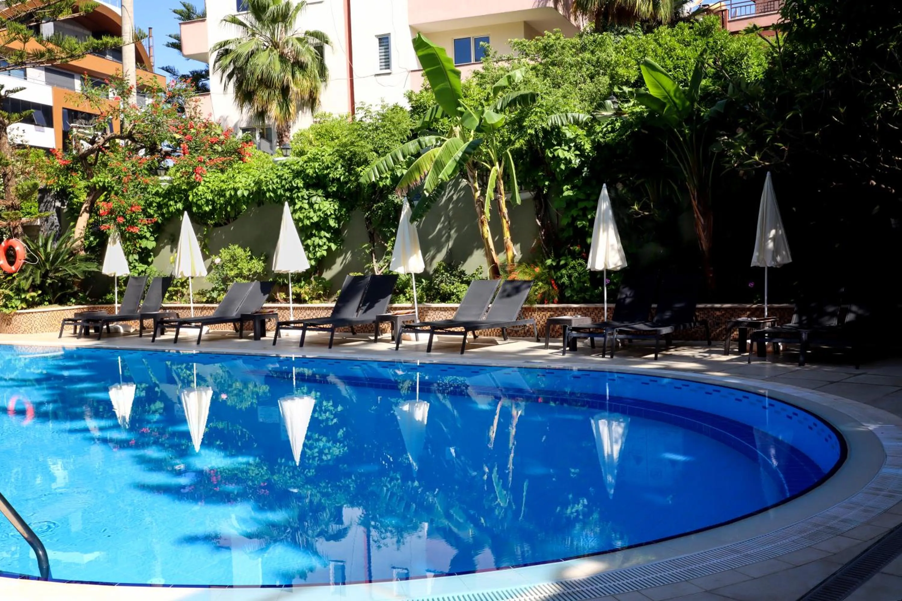 Swimming pool in May Flower Apart Hotel