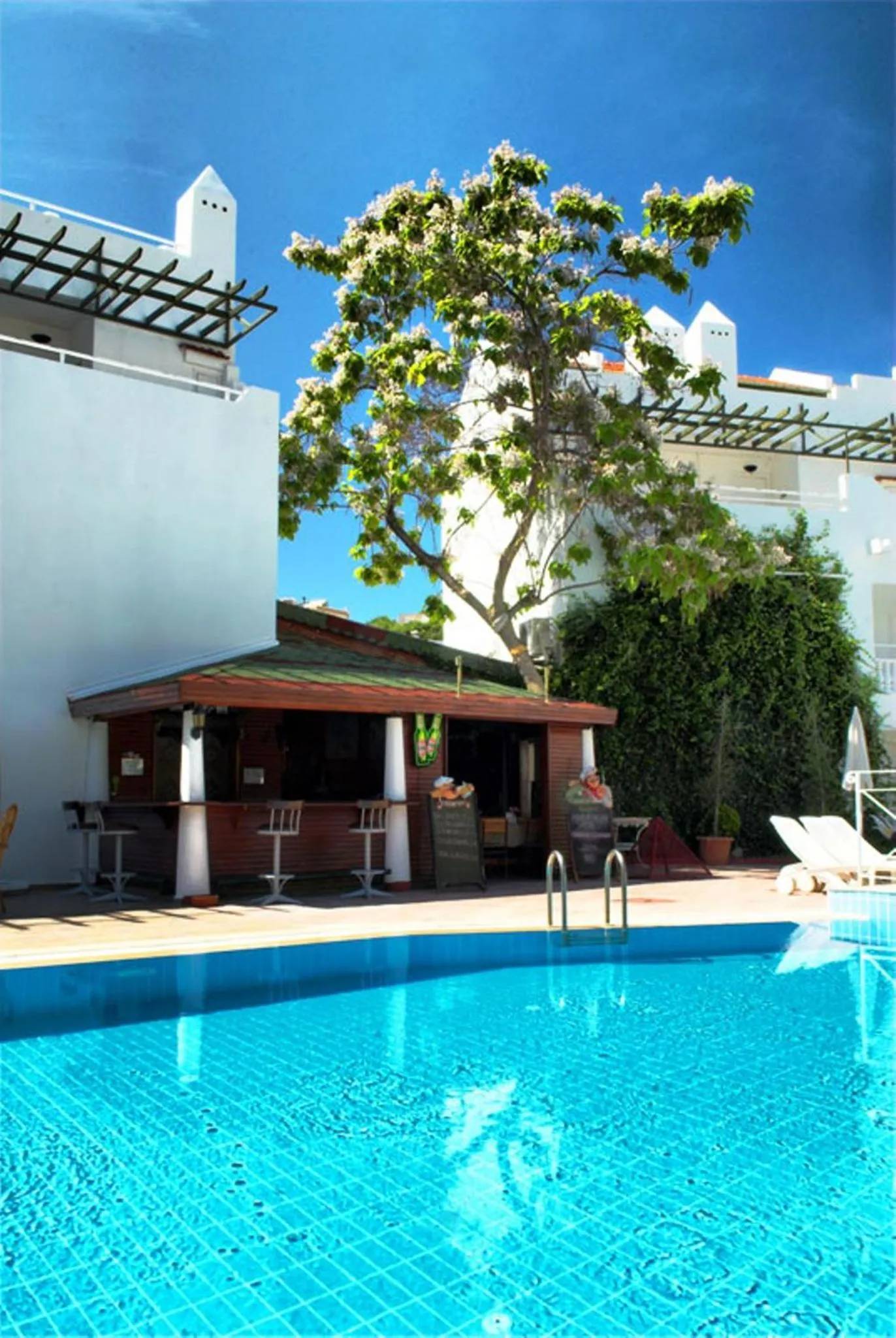 Garden in Hotel Golden Gate