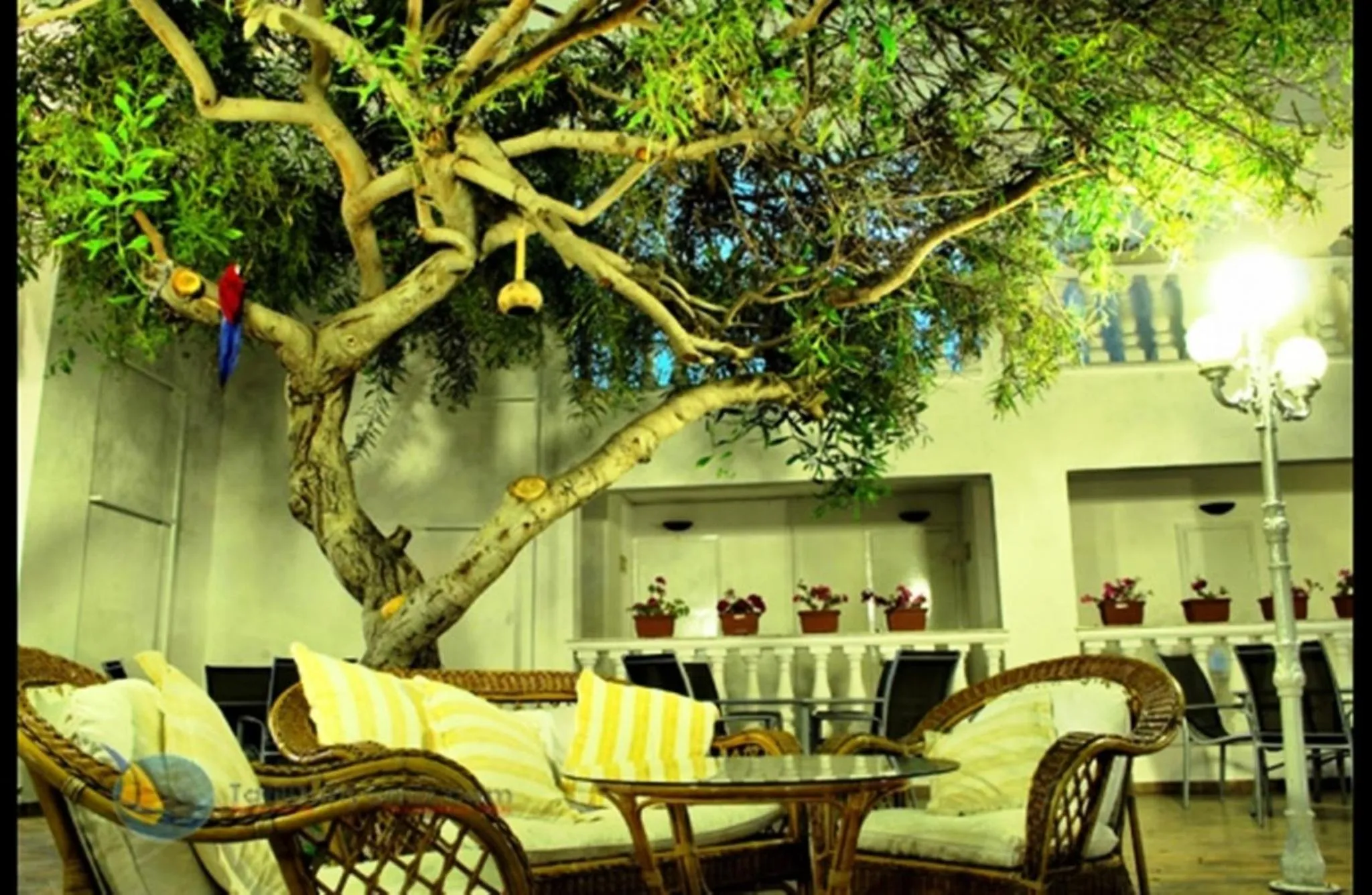 Garden in Hotel Golden Gate