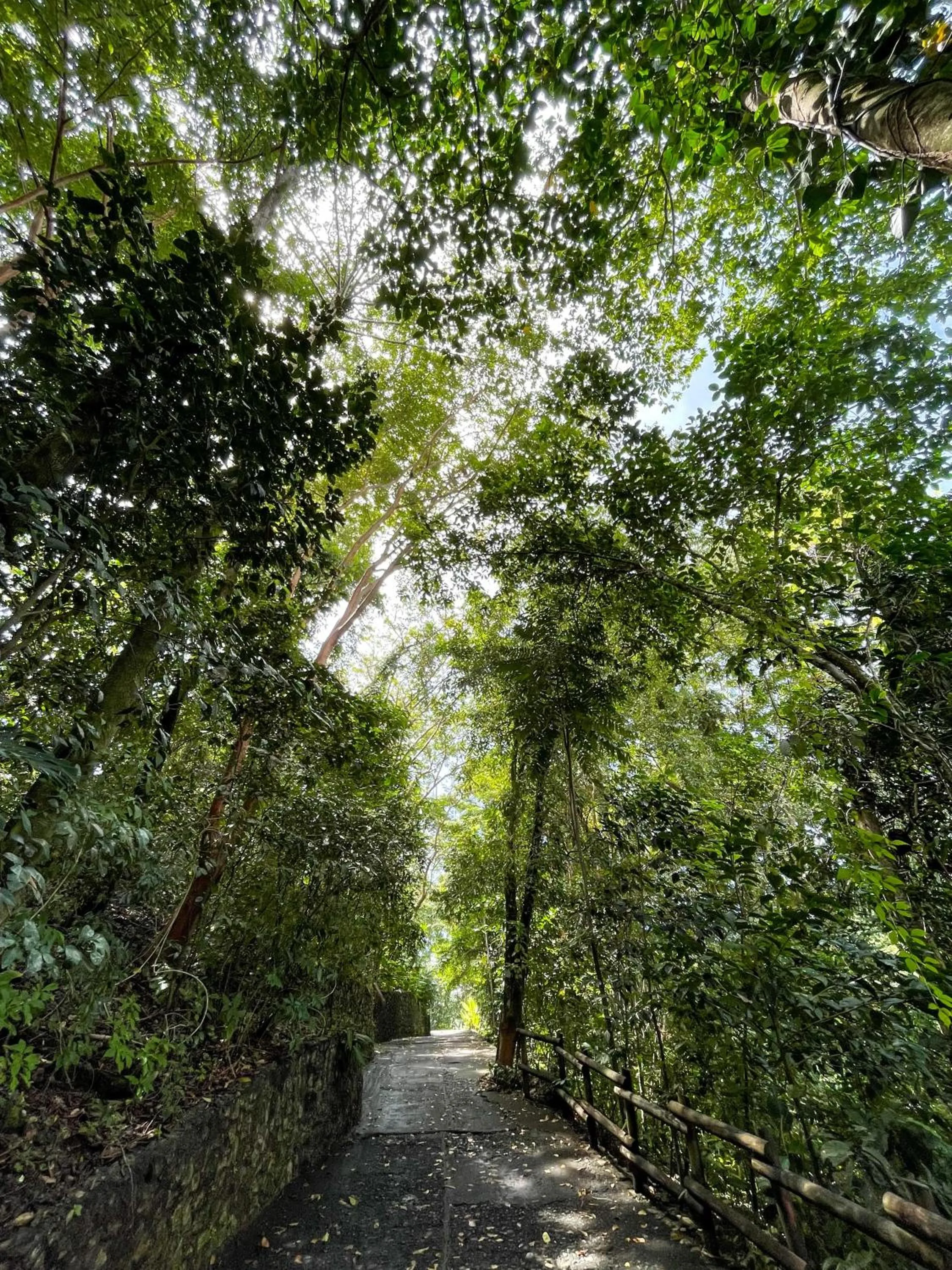 Garden in Arenas Del Mar Beachfront & Rainforest Resort Member of the Cayuga Collection