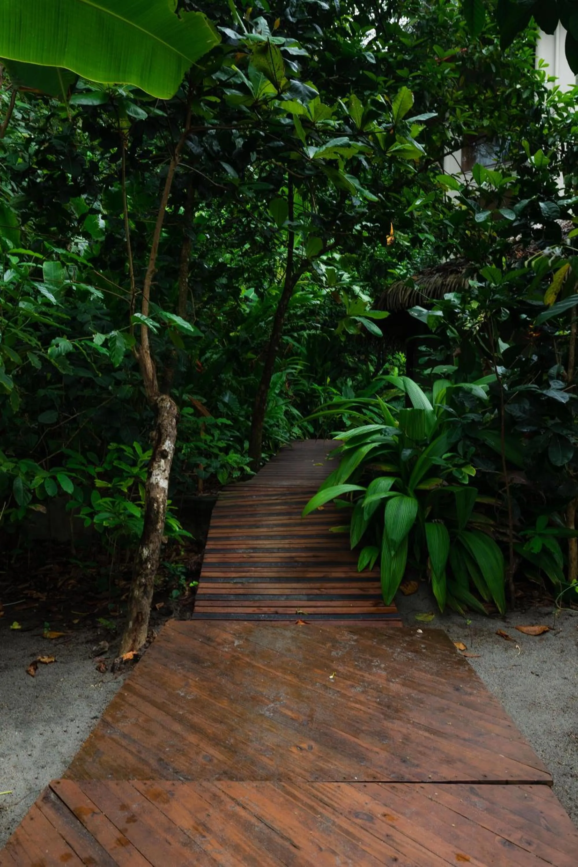Garden in Arenas Del Mar Beachfront & Rainforest Resort Member of the Cayuga Collection