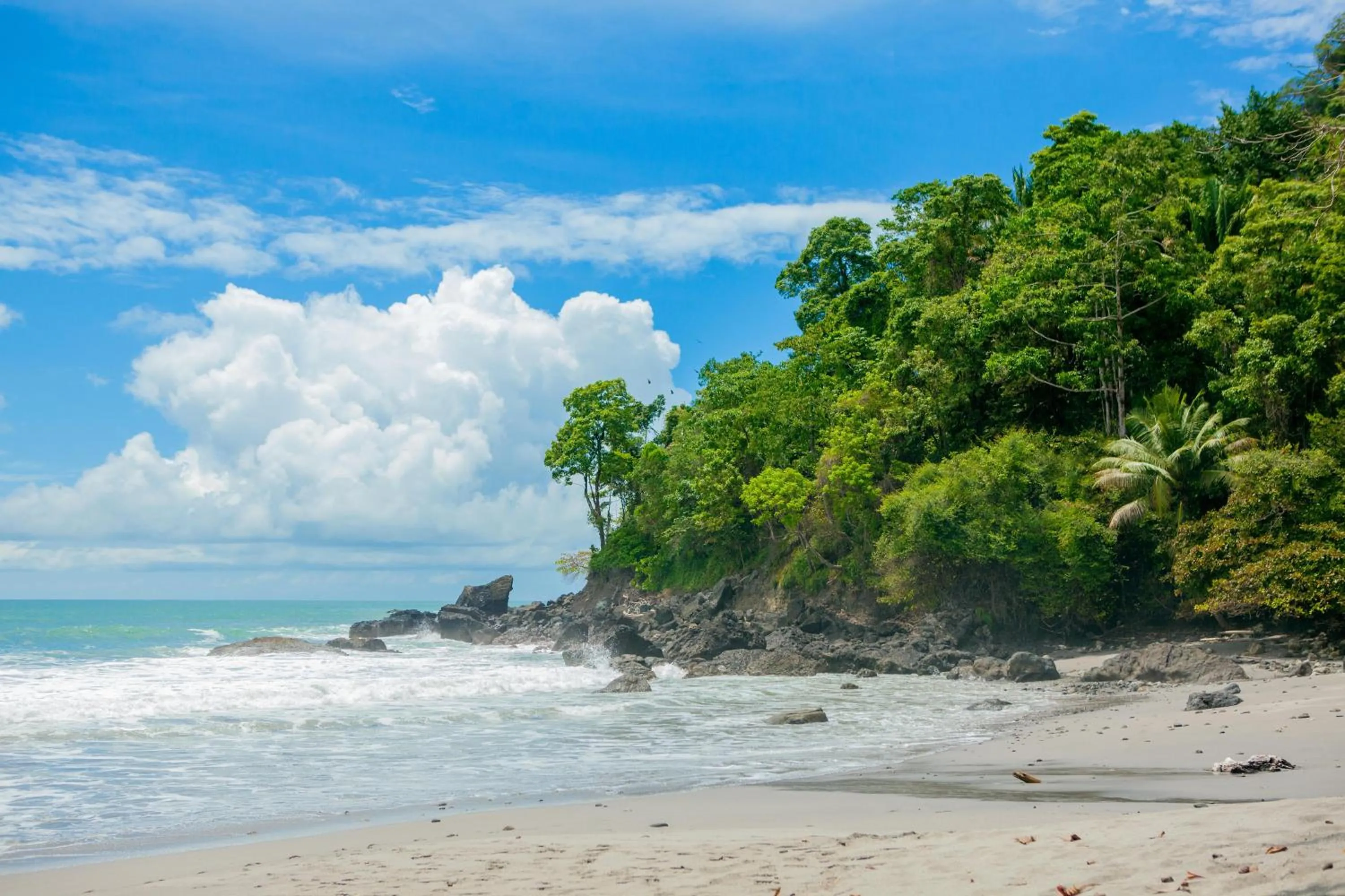 Beach in Arenas Del Mar Beachfront & Rainforest Resort Member of the Cayuga Collection