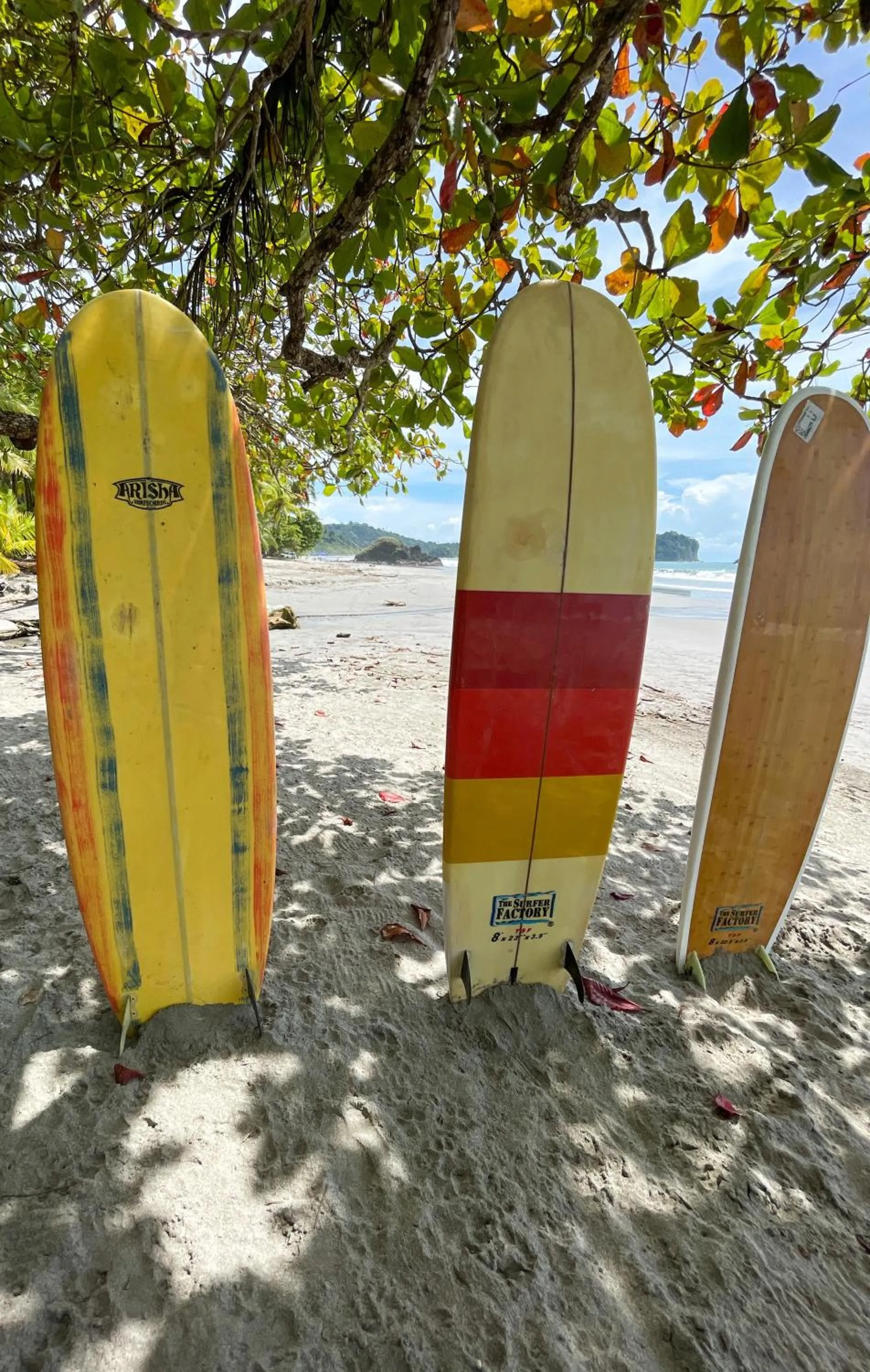 Activities in Arenas Del Mar Beachfront & Rainforest Resort Member of the Cayuga Collection