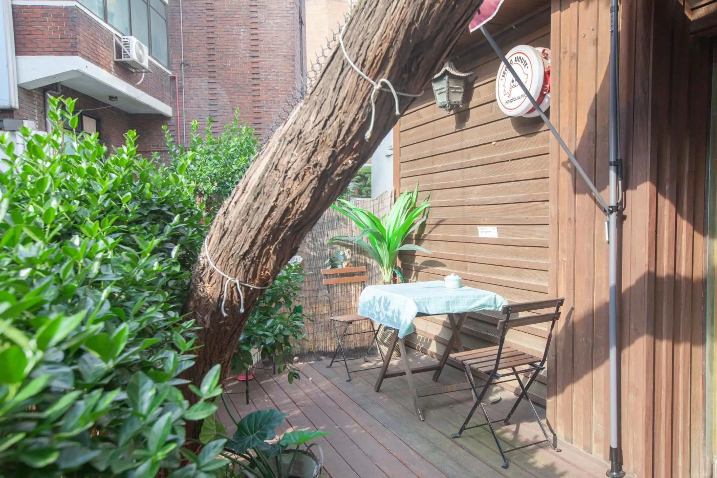 Garden in Jeong House