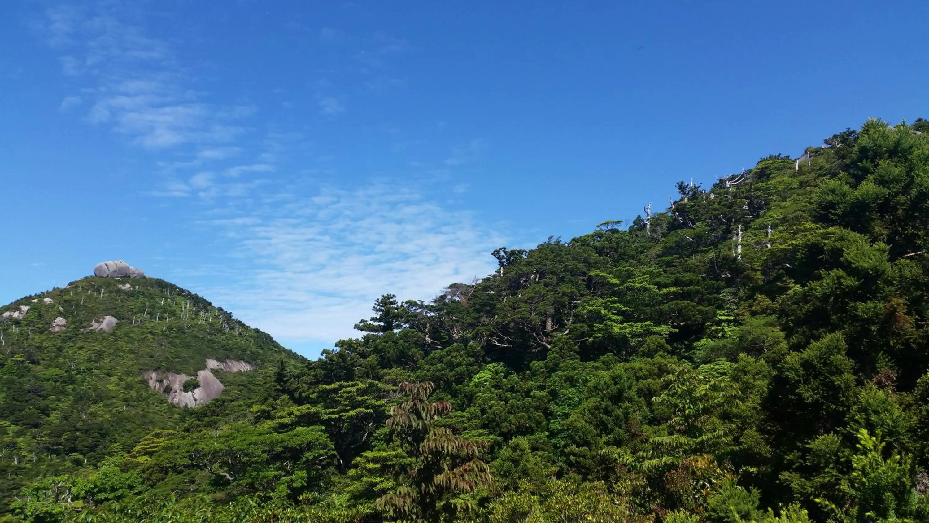 Seasons in Minnsyuku Yakushimaya