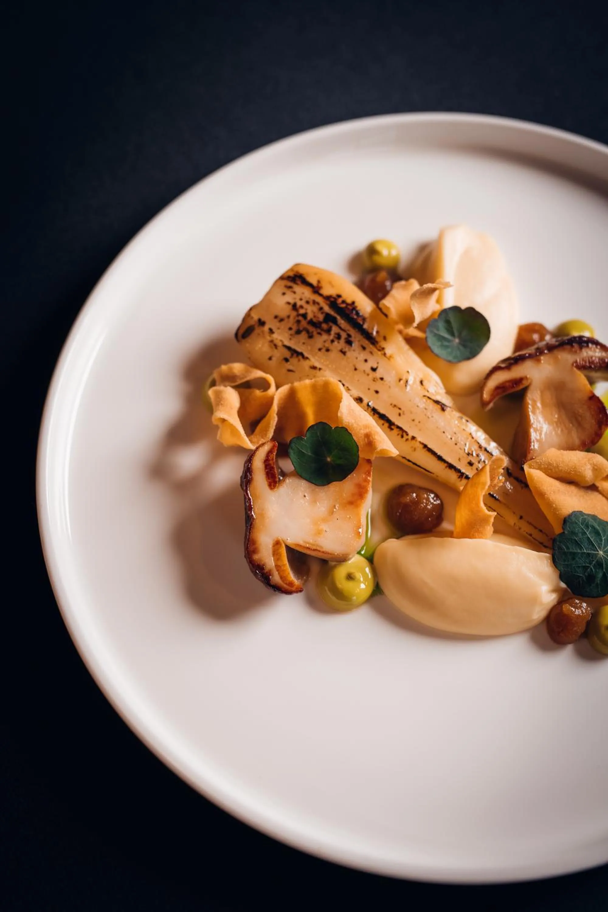 HOT_elarnia Hotel & Spa