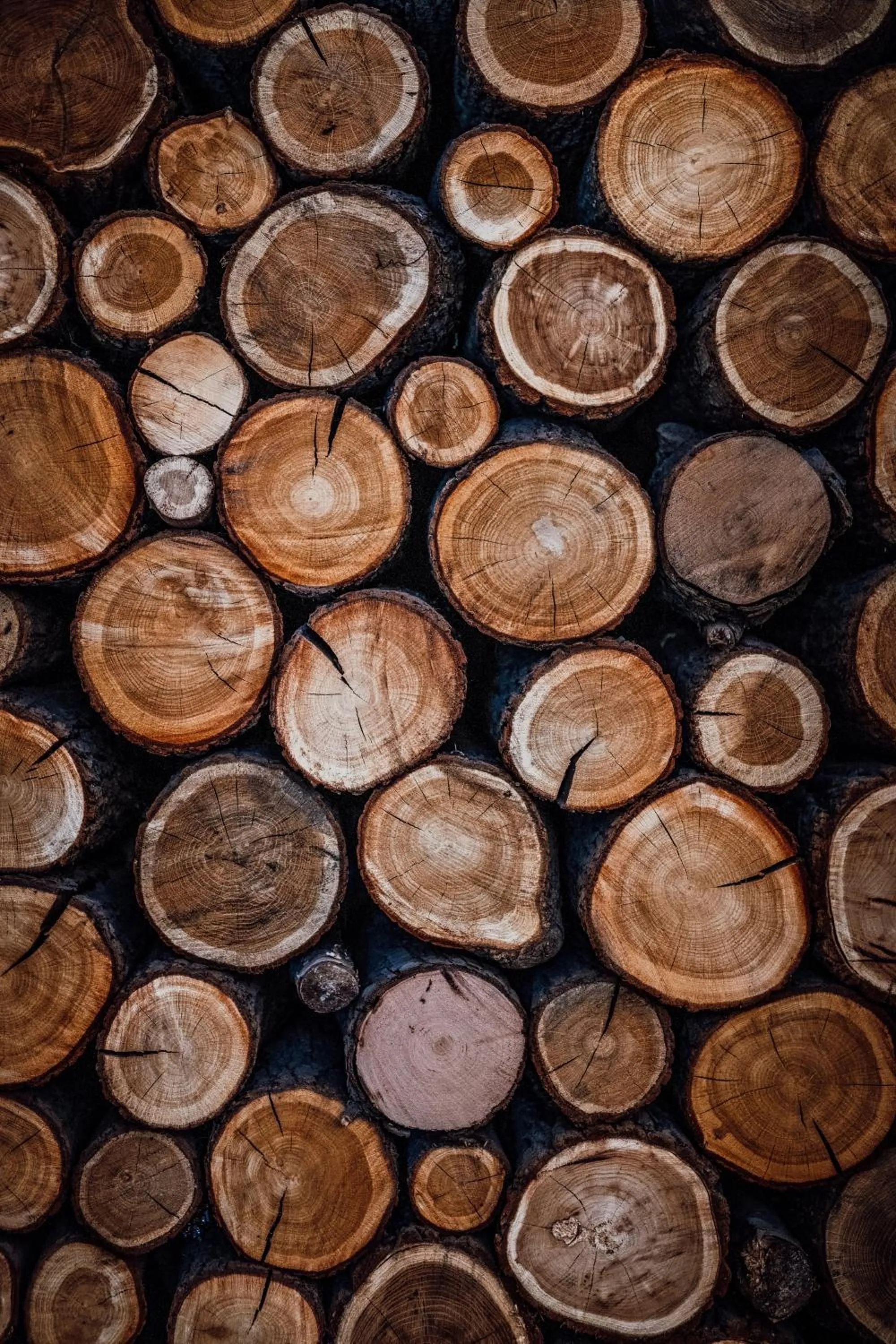 HOT_elarnia Hotel & Spa