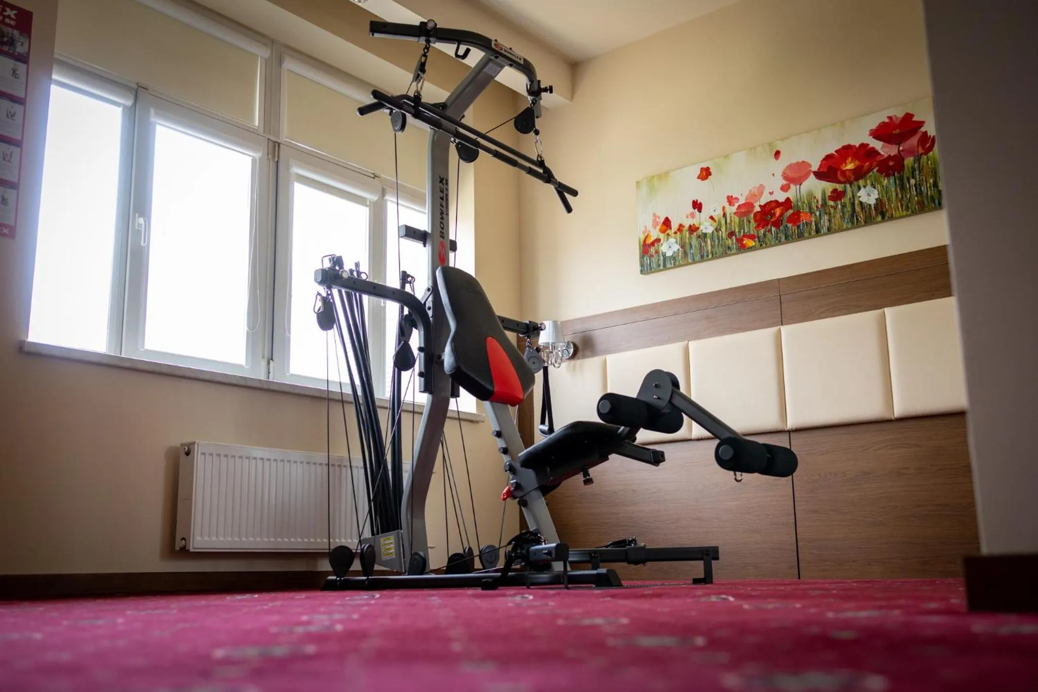 Fitness centre/facilities in Grein Hotel