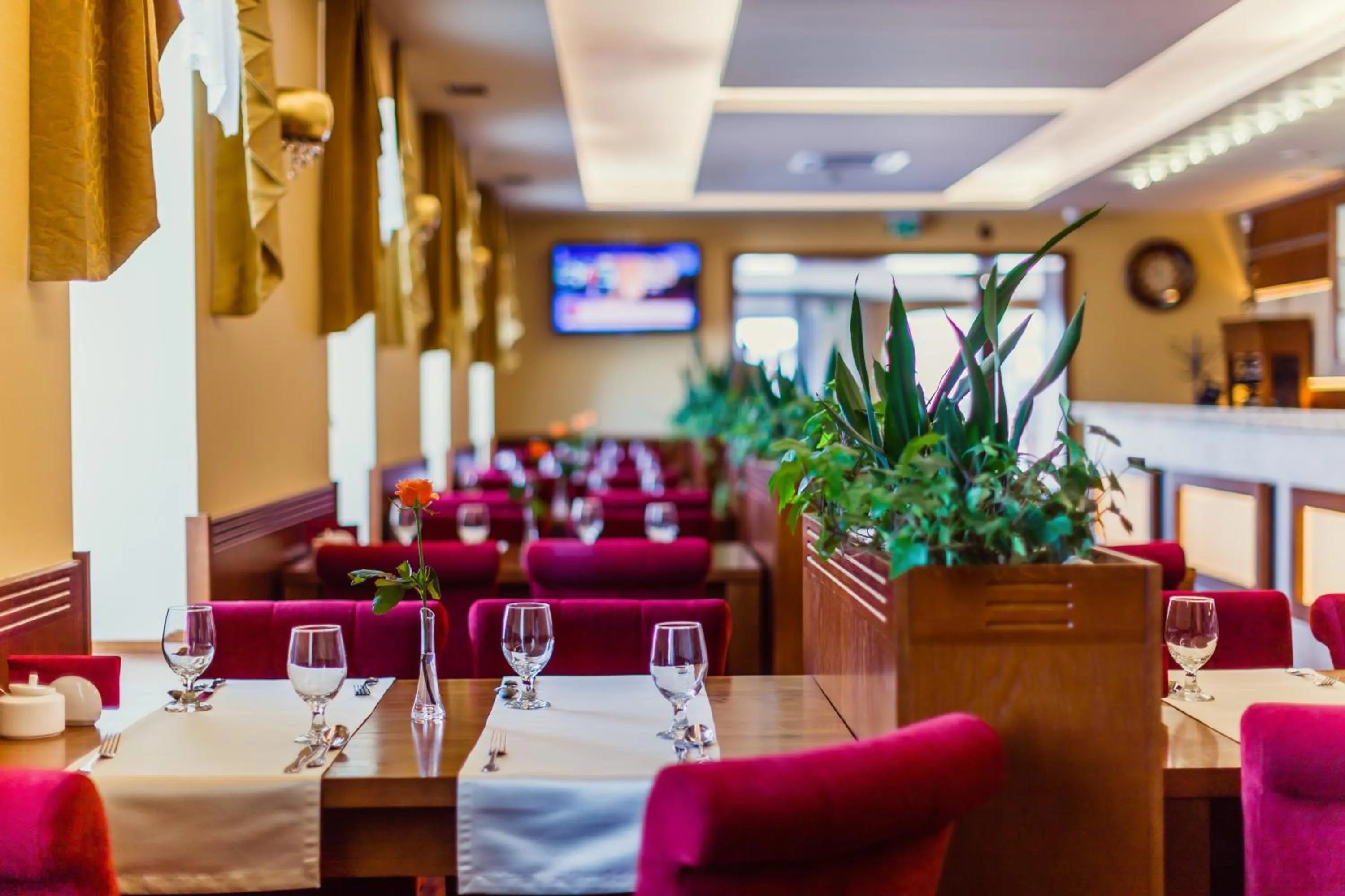 Restaurant/places to eat in Grein Hotel