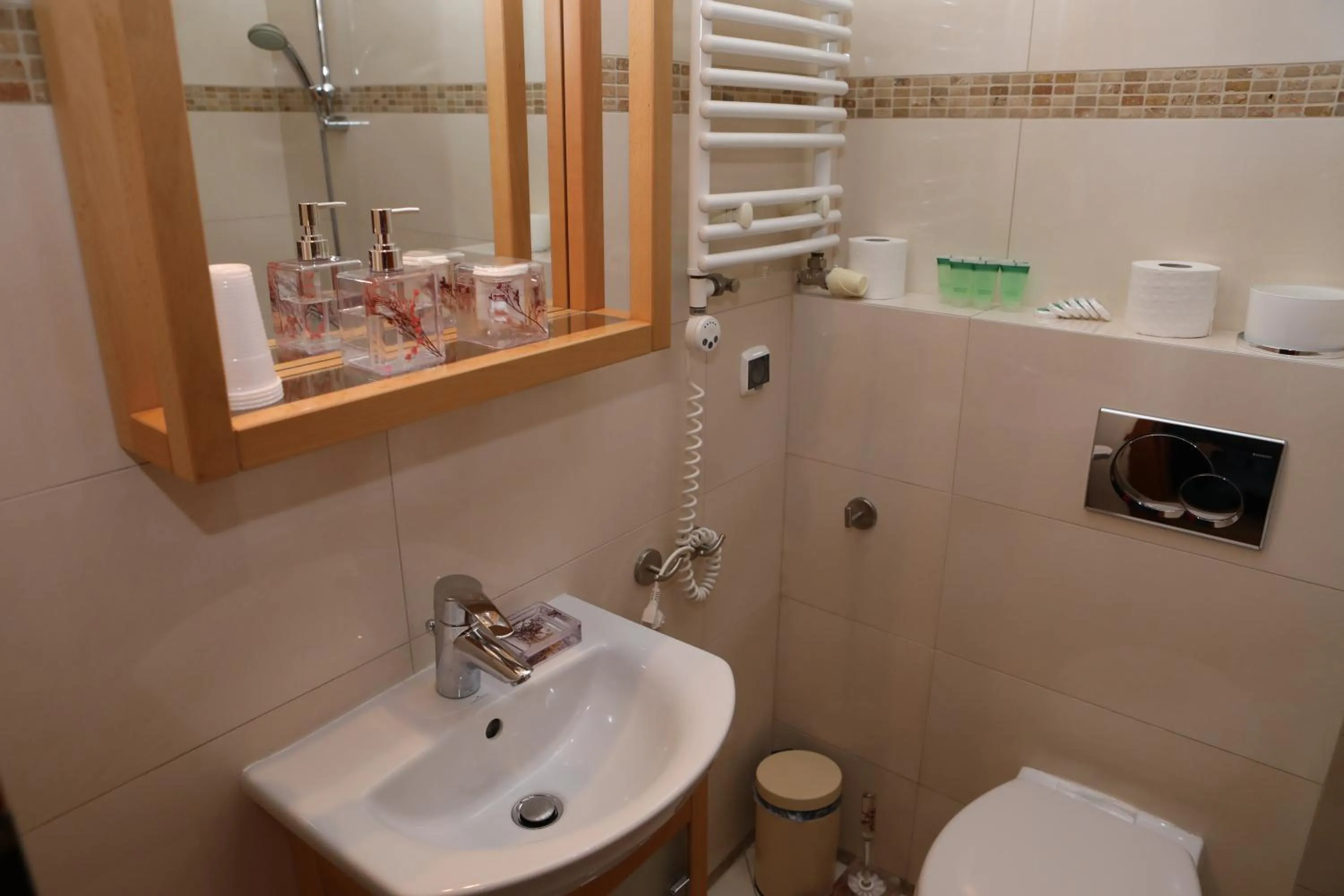 Toilet in Hotel Petite Fleur - Adults only ! Air-Conditioning !