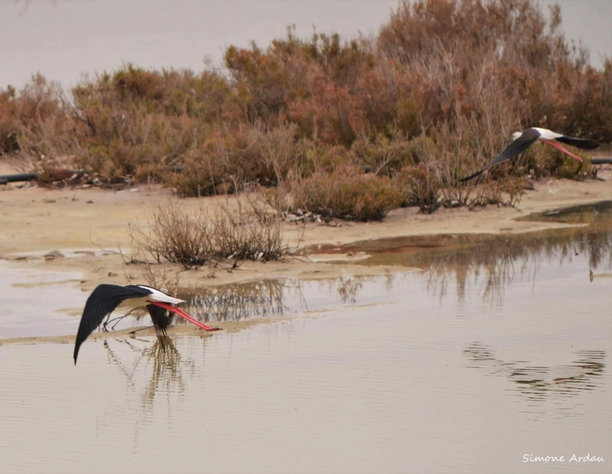 Agriturismo Is Solinas