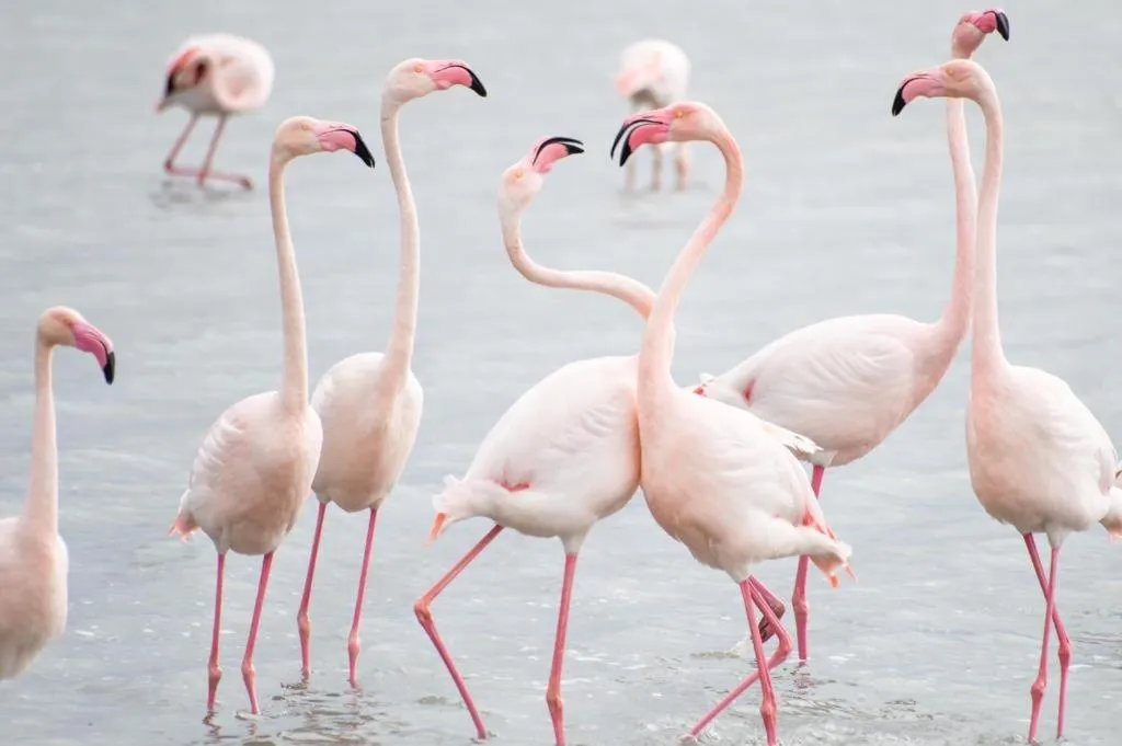 Agriturismo Is Solinas