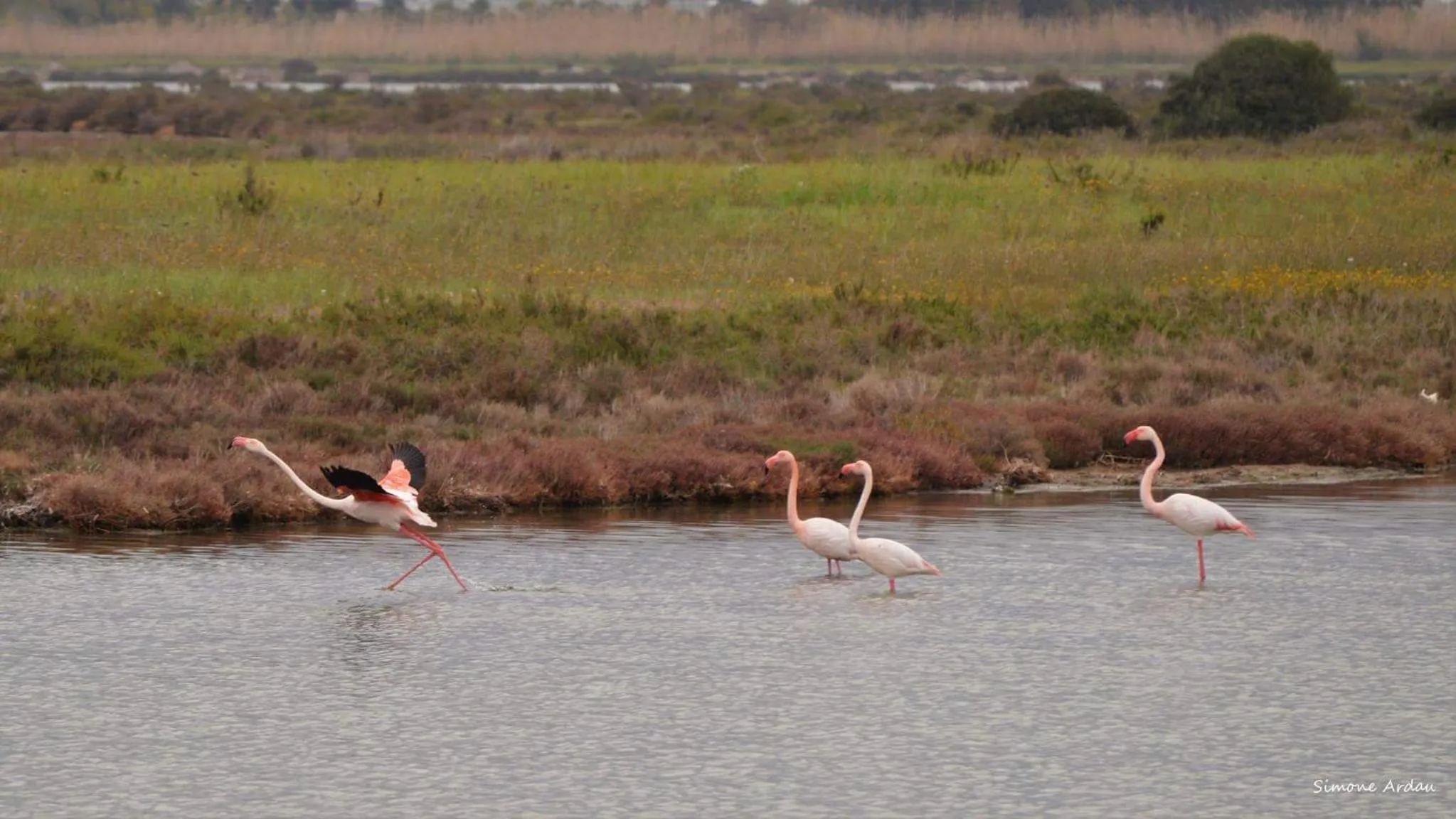 Agriturismo Is Solinas