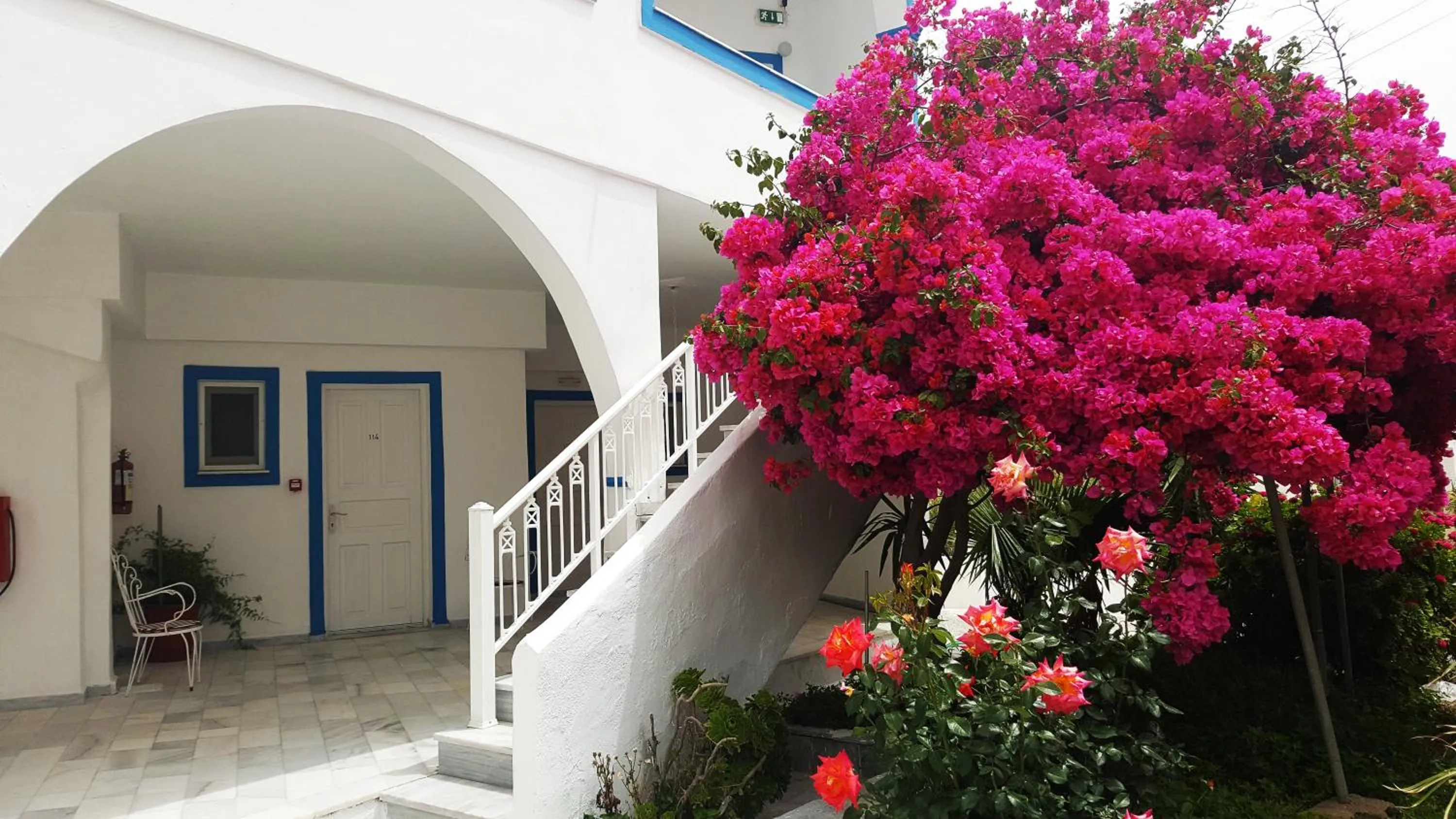 Garden in Hotel Lodos