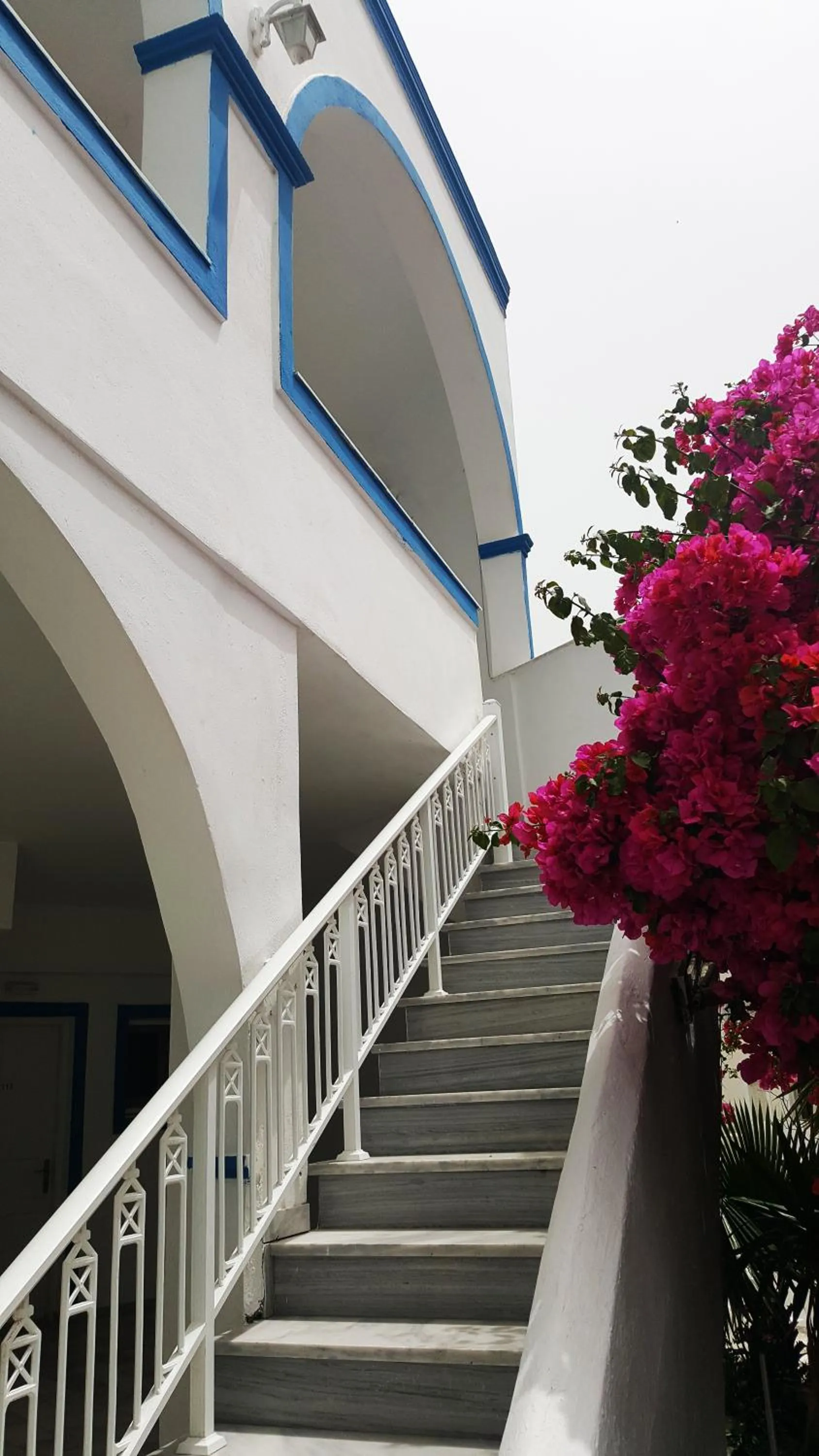 Balcony/Terrace in Hotel Lodos