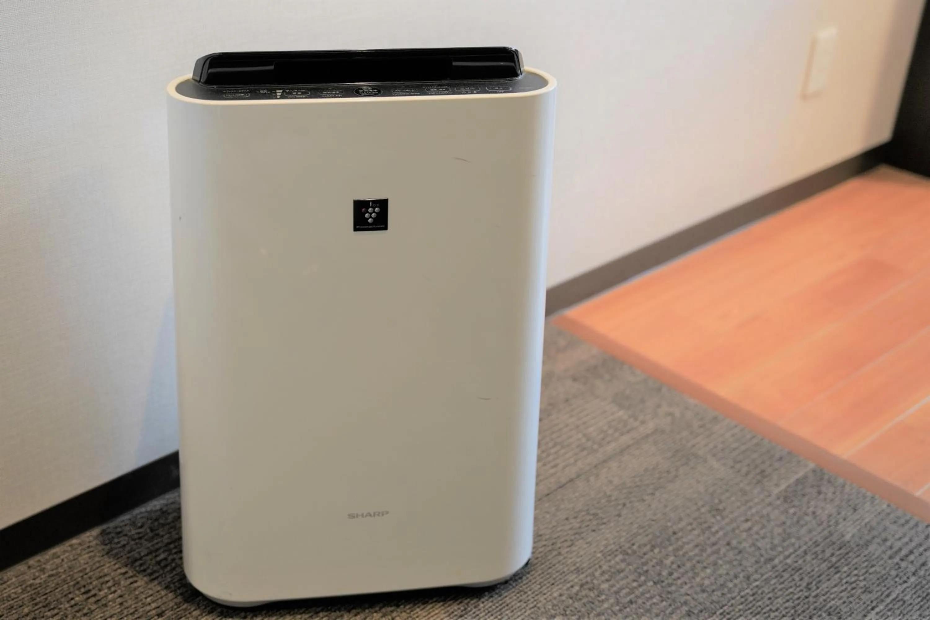 Photo of the whole room in Hotel Katsuyama Premiere